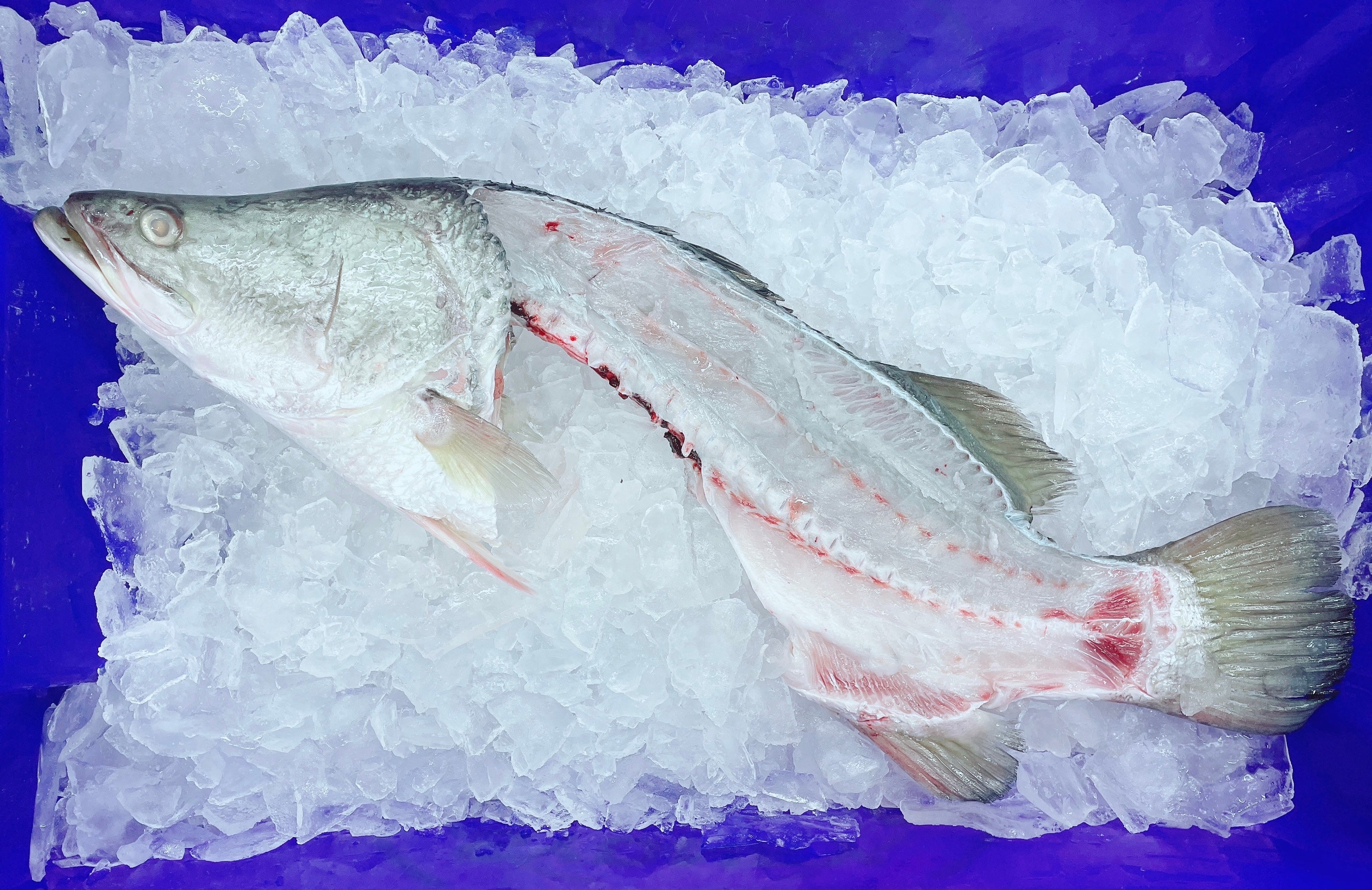 BARRAMUNDI FRAMES & HEADS (MIN 1KG)