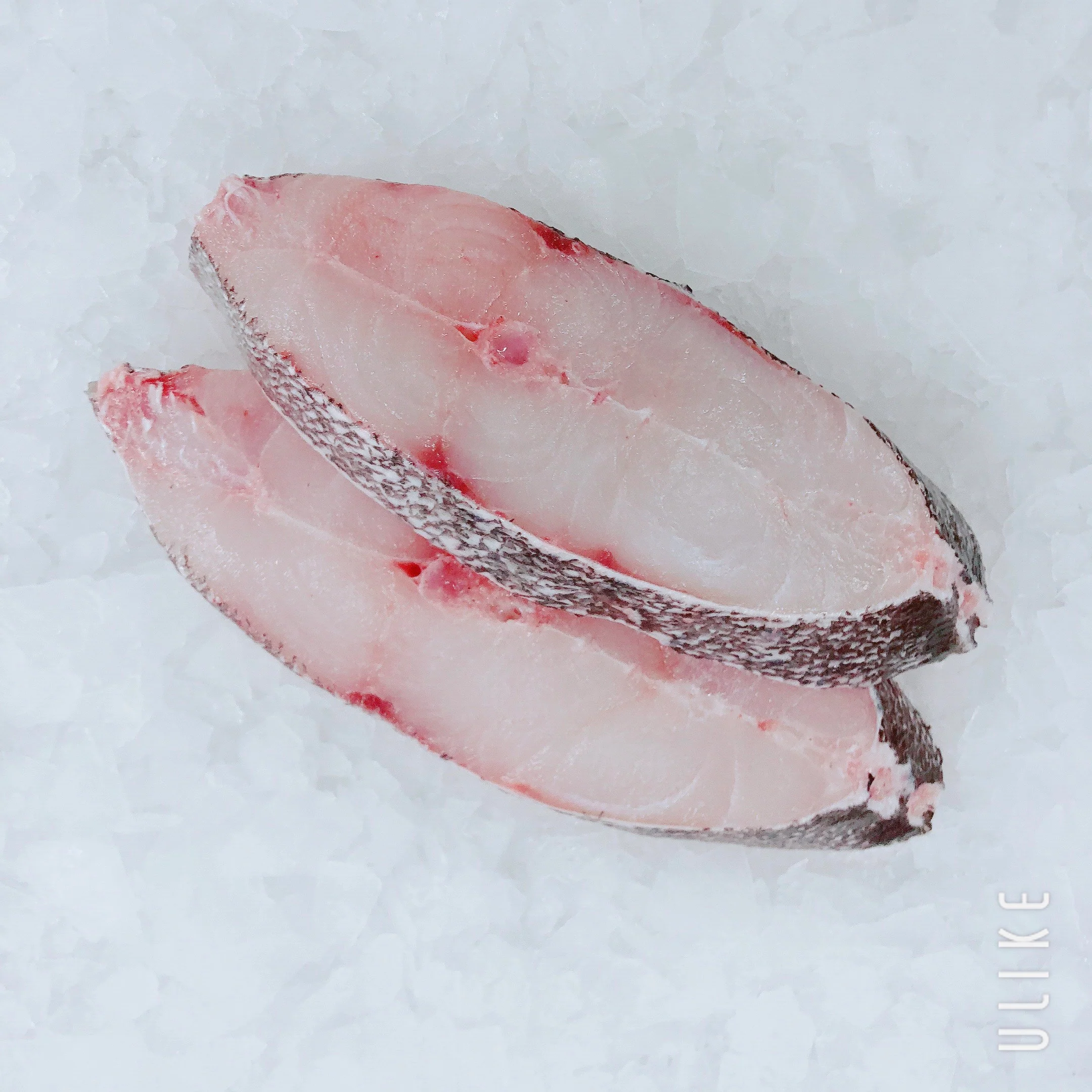 BASS GROPER CUTLETS (MIN 500G)
