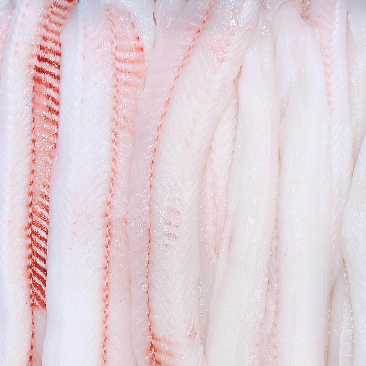 BONELESS ROUGHSKIN SHARK FILLETS (MIN 500G)