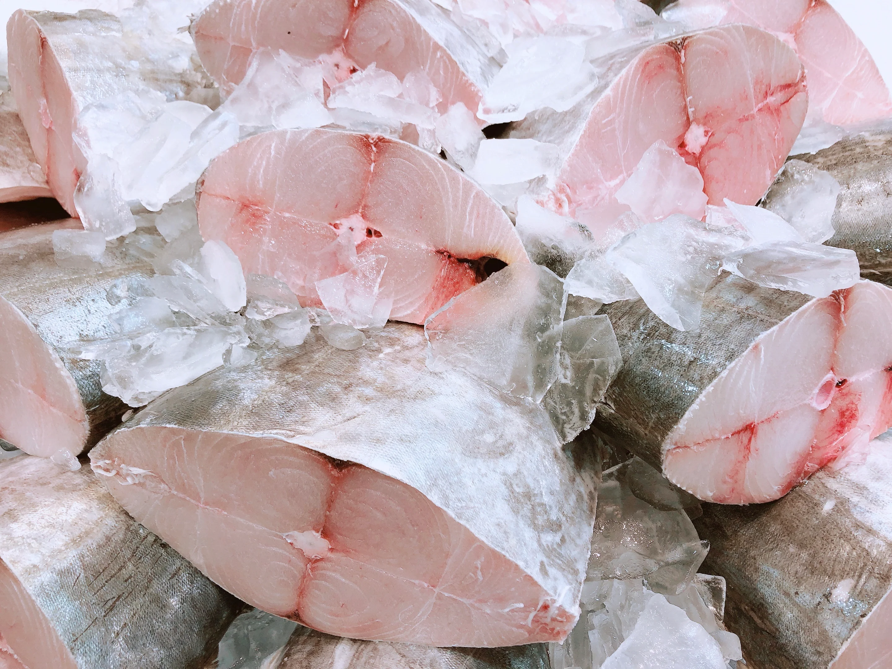 BULK PURCHASE SPANISH MACKEREL CHUNKS (5KG)