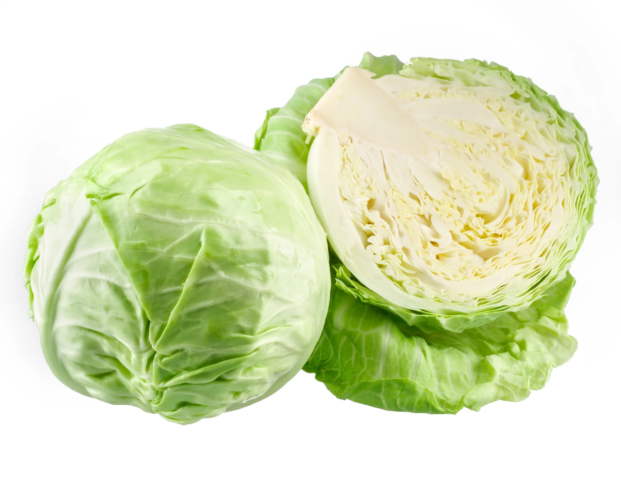 CABBAGE PLAIN (HALF)