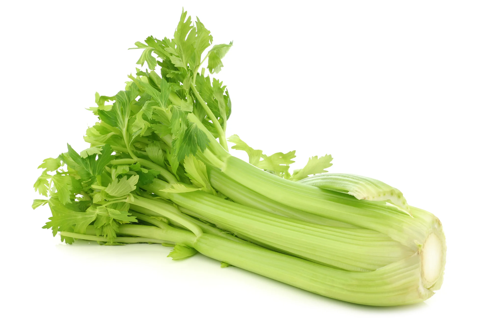 CELERY (1 WHOLE)