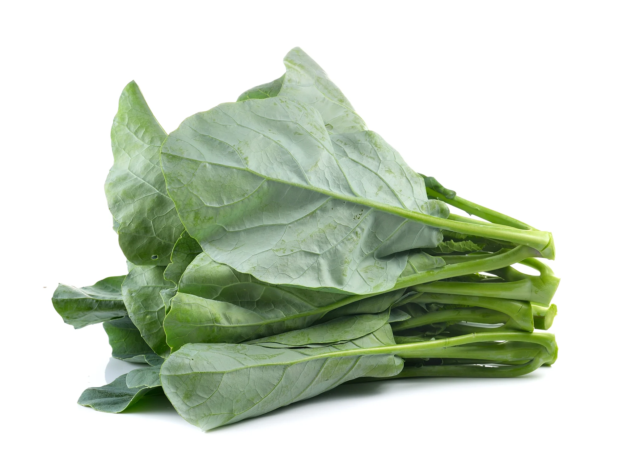 CHINESE BROCCOLI (1 BUNCH)