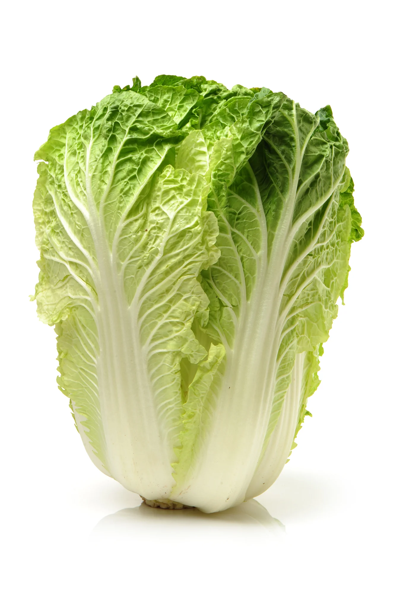 CHINESE CABBAGE (1 EACH)
