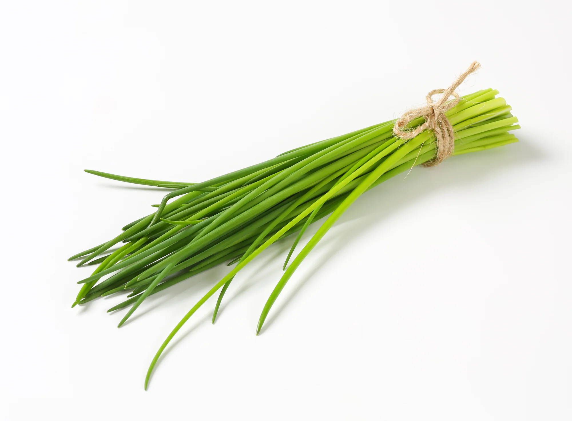 CHIVES (1 BUNCH)