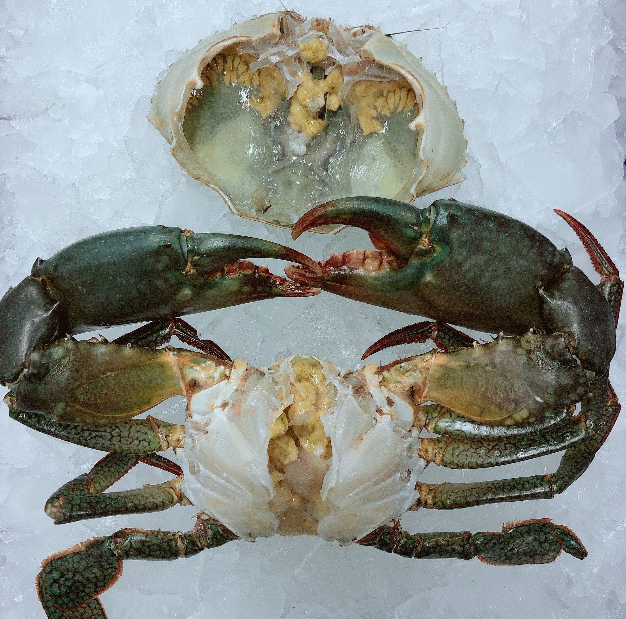 FEE - MUD CRAB CLEANING FEE (PER CRAB)