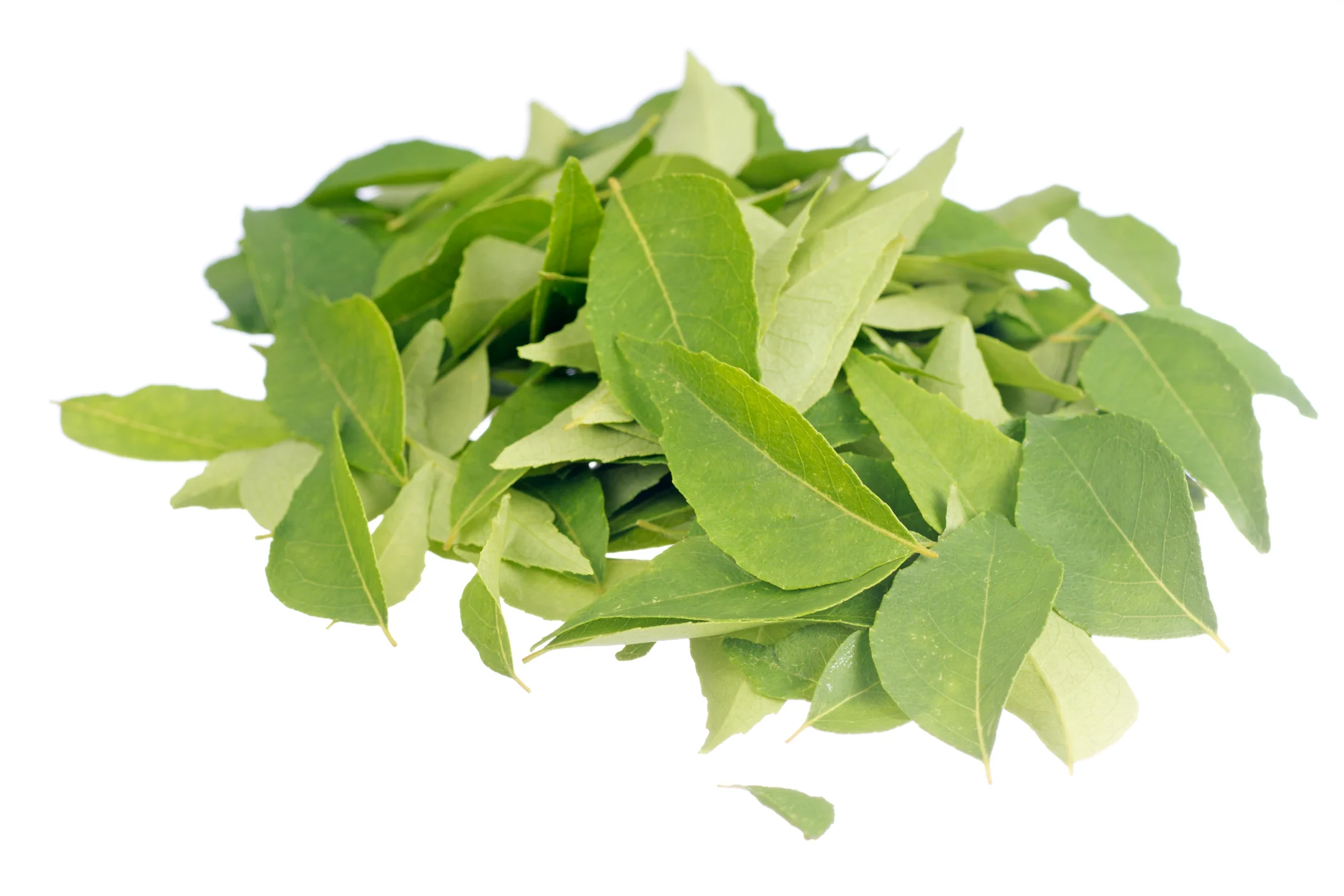 FRESH CURRY LEAVES (10G)