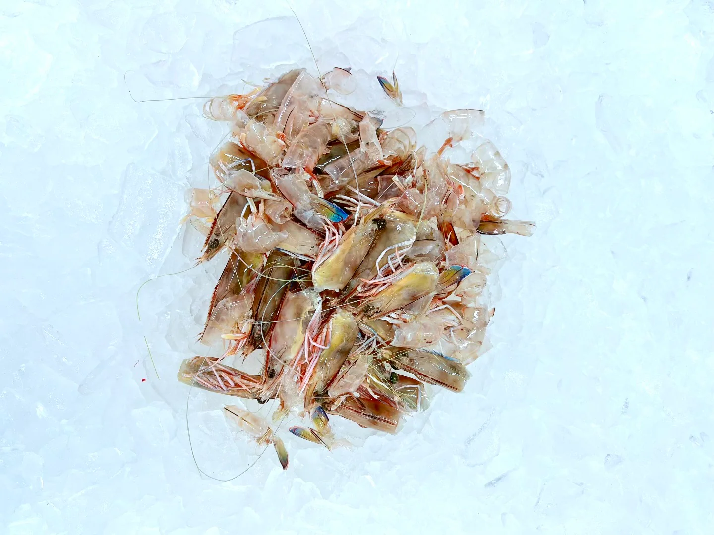GREEN PRAWN SHELLS FROZEN (MIN 1KG)