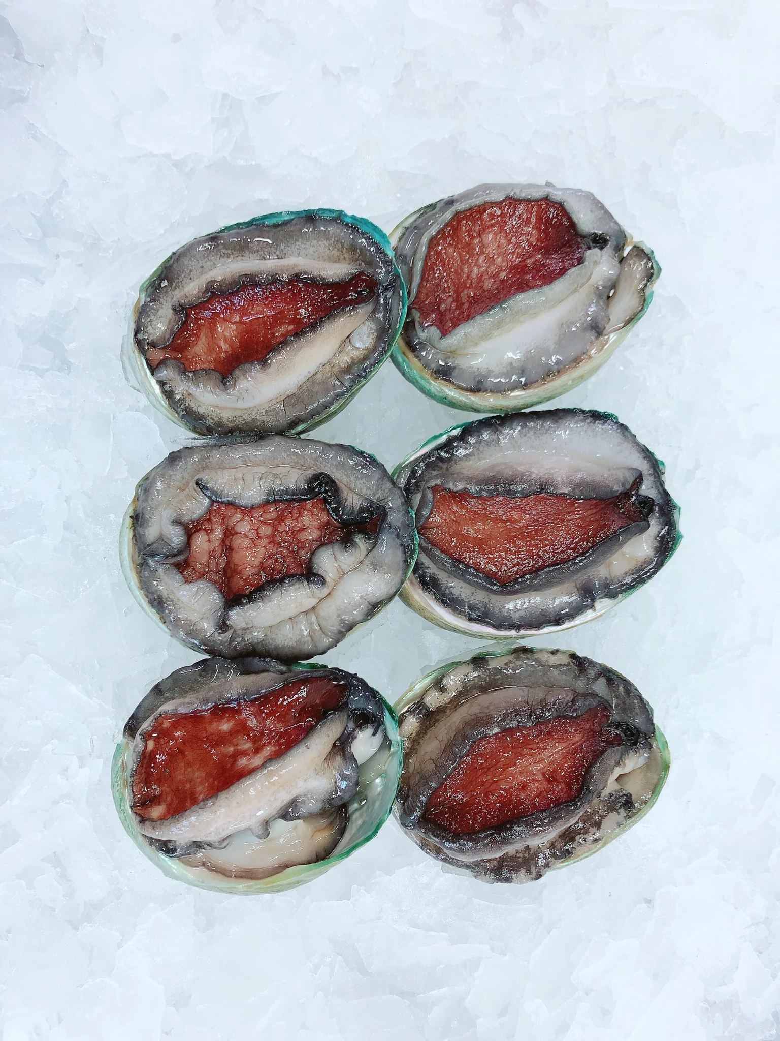 GREENLIP BABY ABALONE 80G - 110G (1/2DOZ)