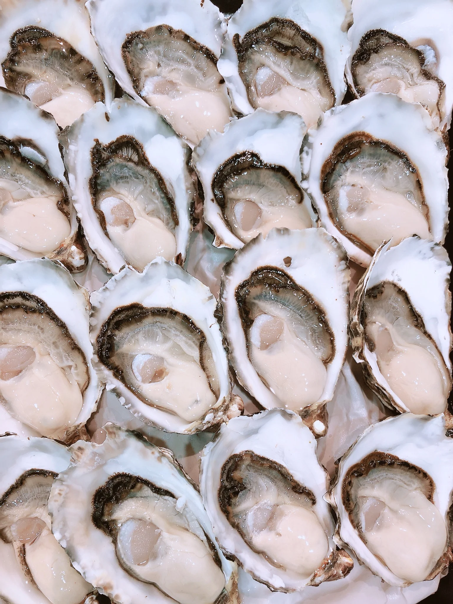 JUMBO PACIFIC OYSTERS (1/2 DOZ)