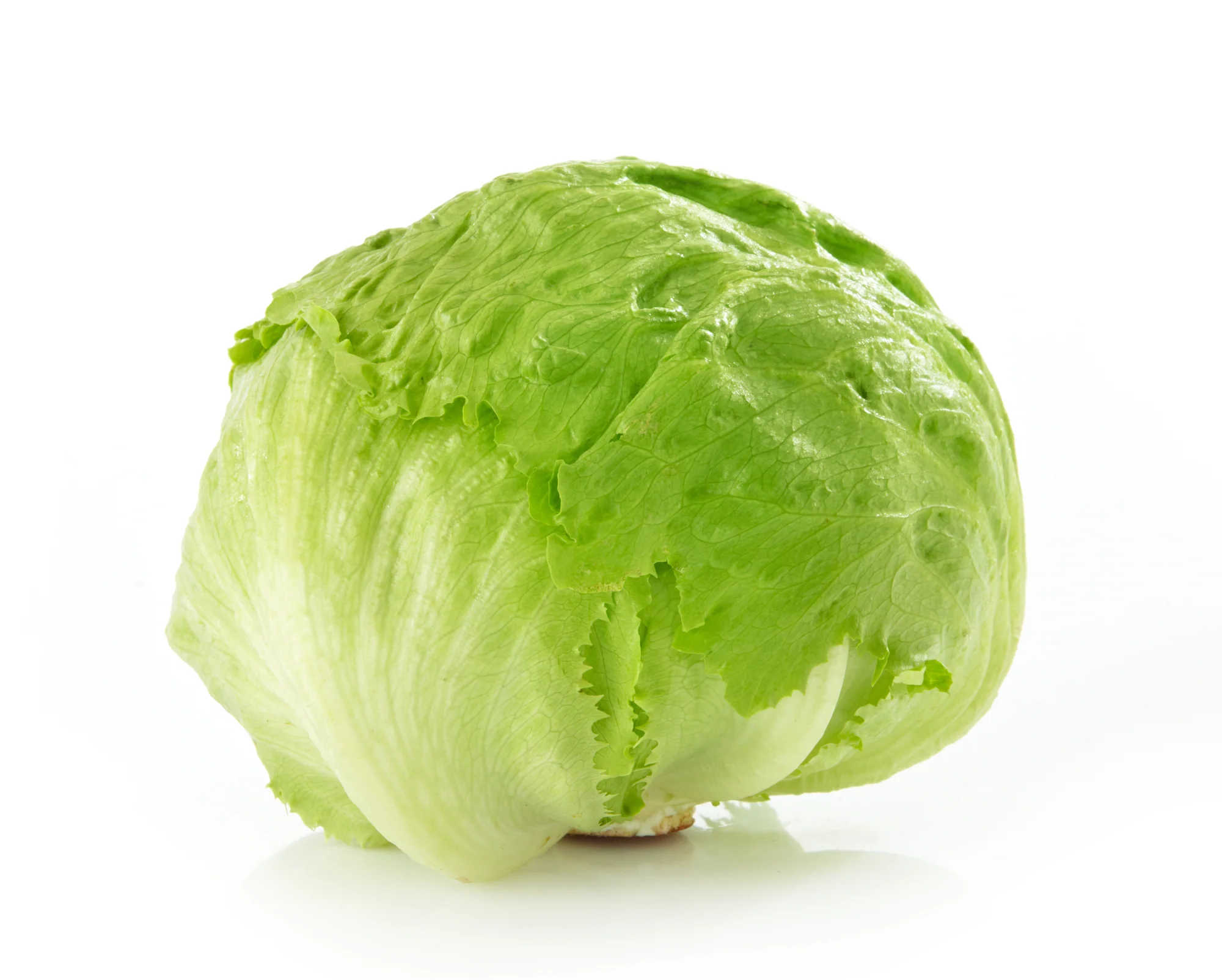LETTUCE ICEBERG (1 EACH)