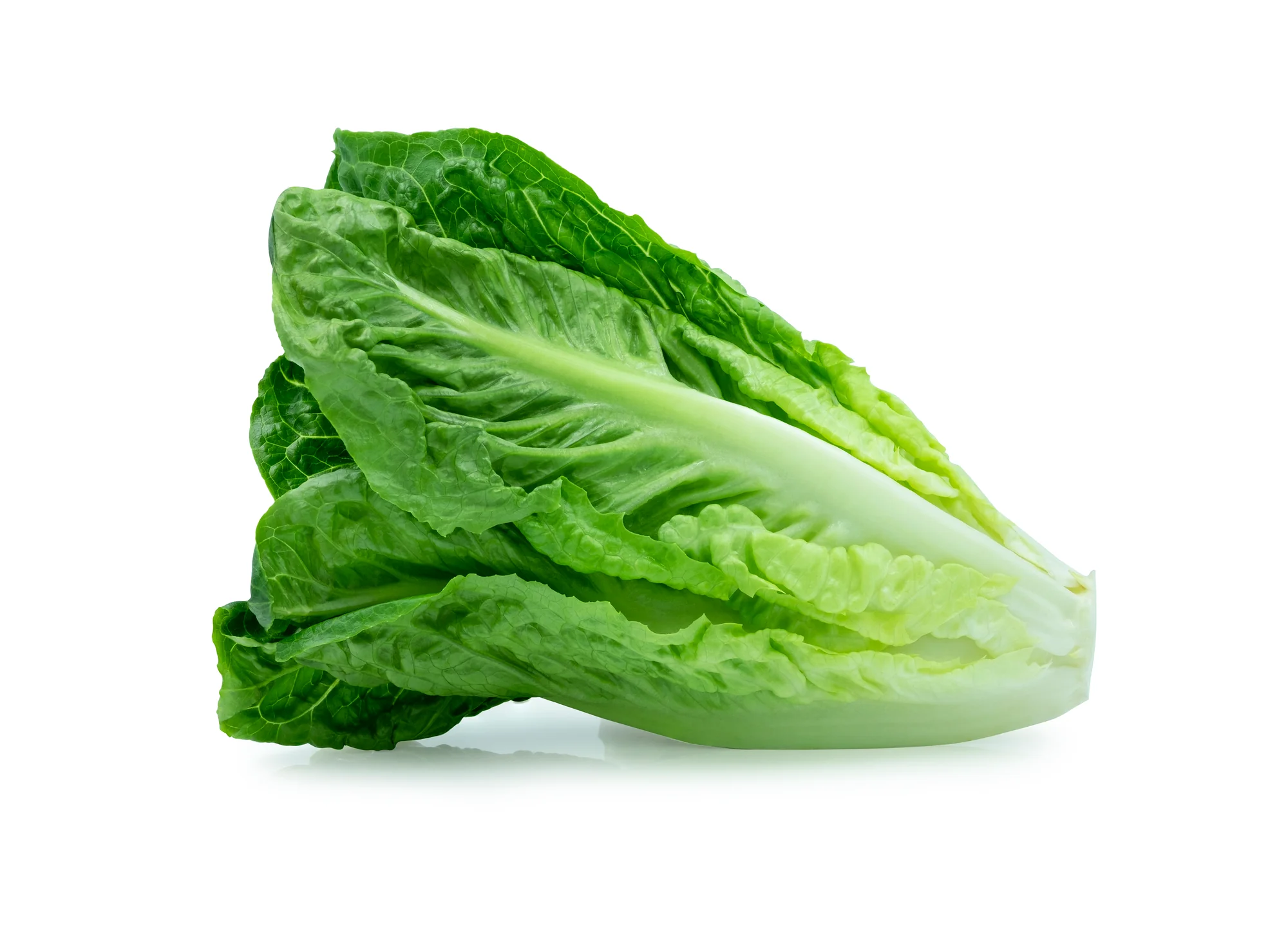 LETTUCE MIDI COS (1 EACH)