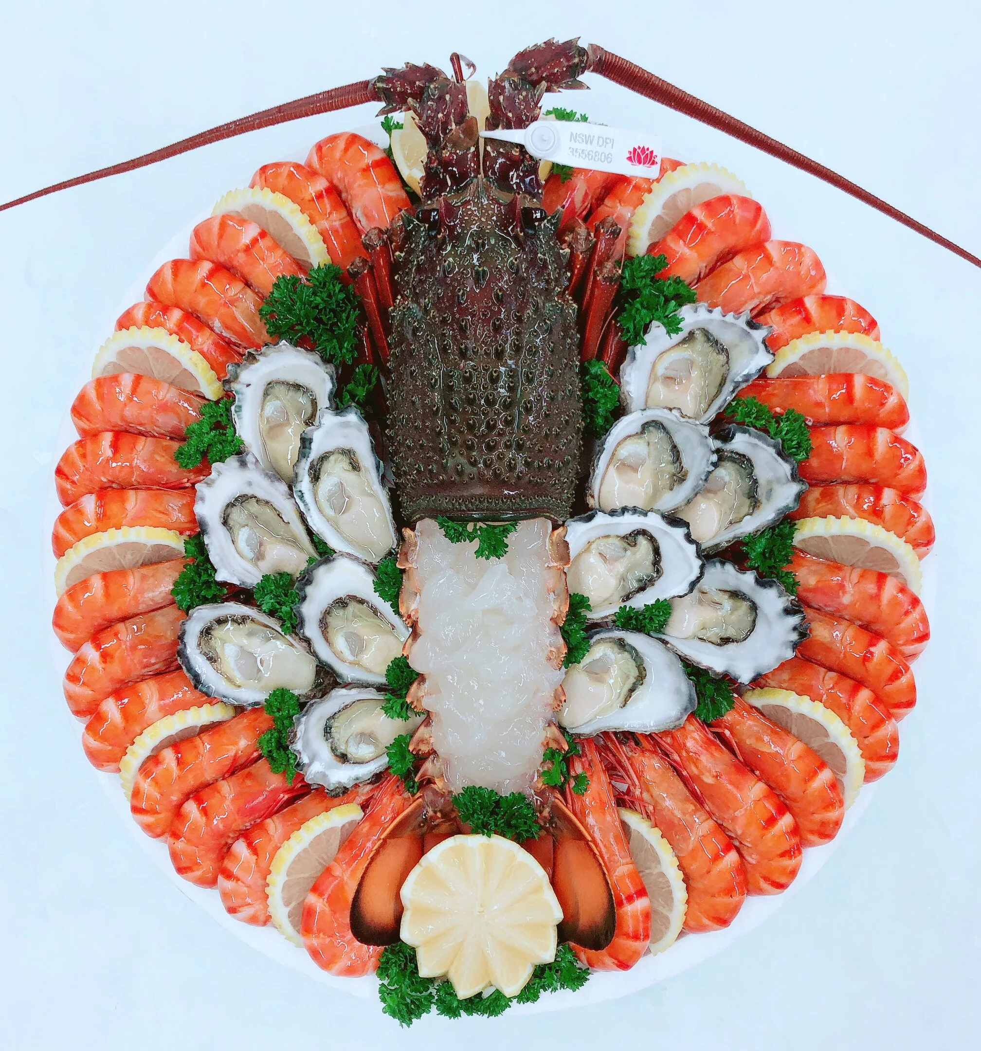 LOBSTER SASHIMI & PRAWN PLATTER