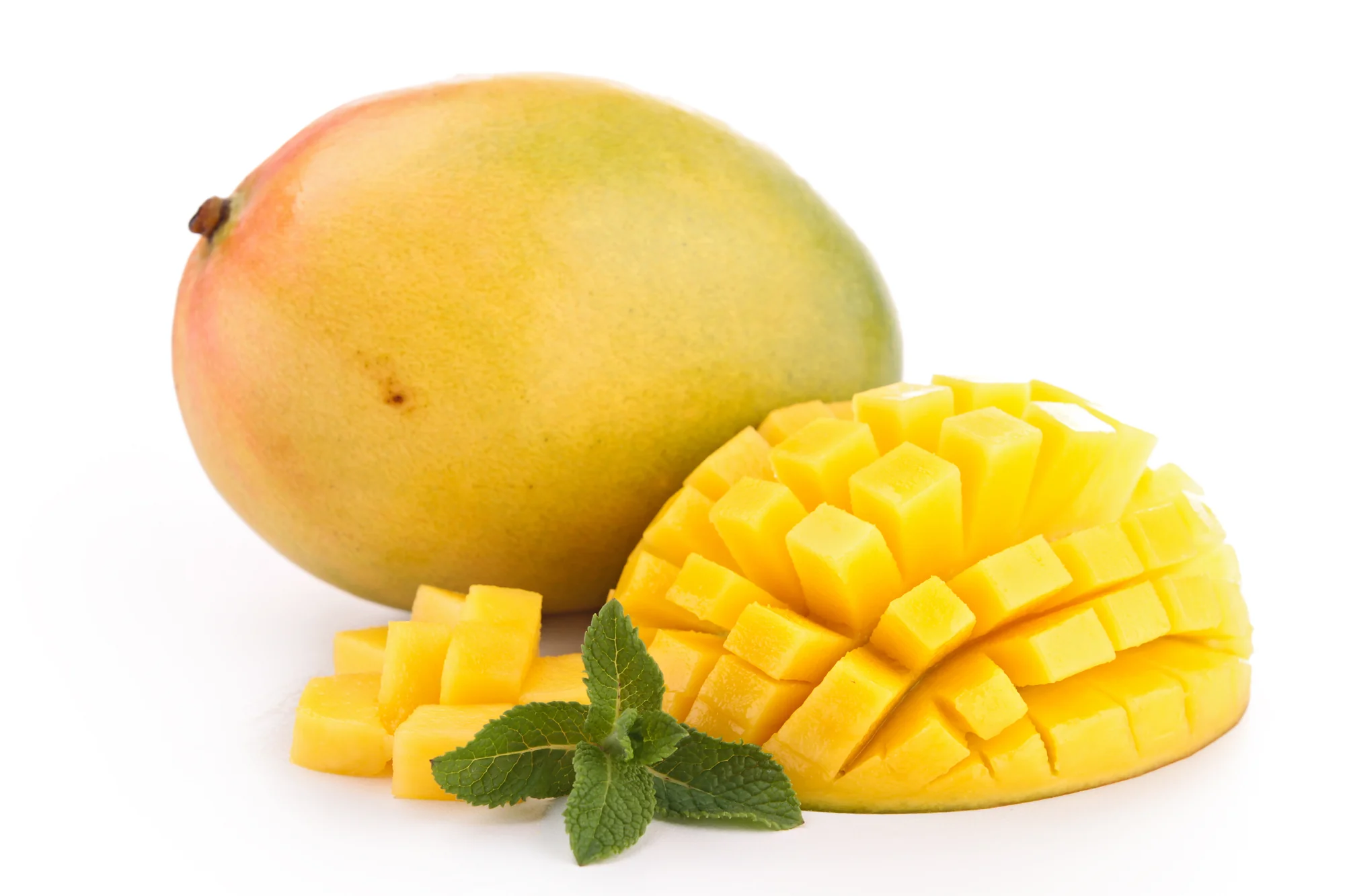 MANGO KENSINGTON PRIDE (1 EACH)