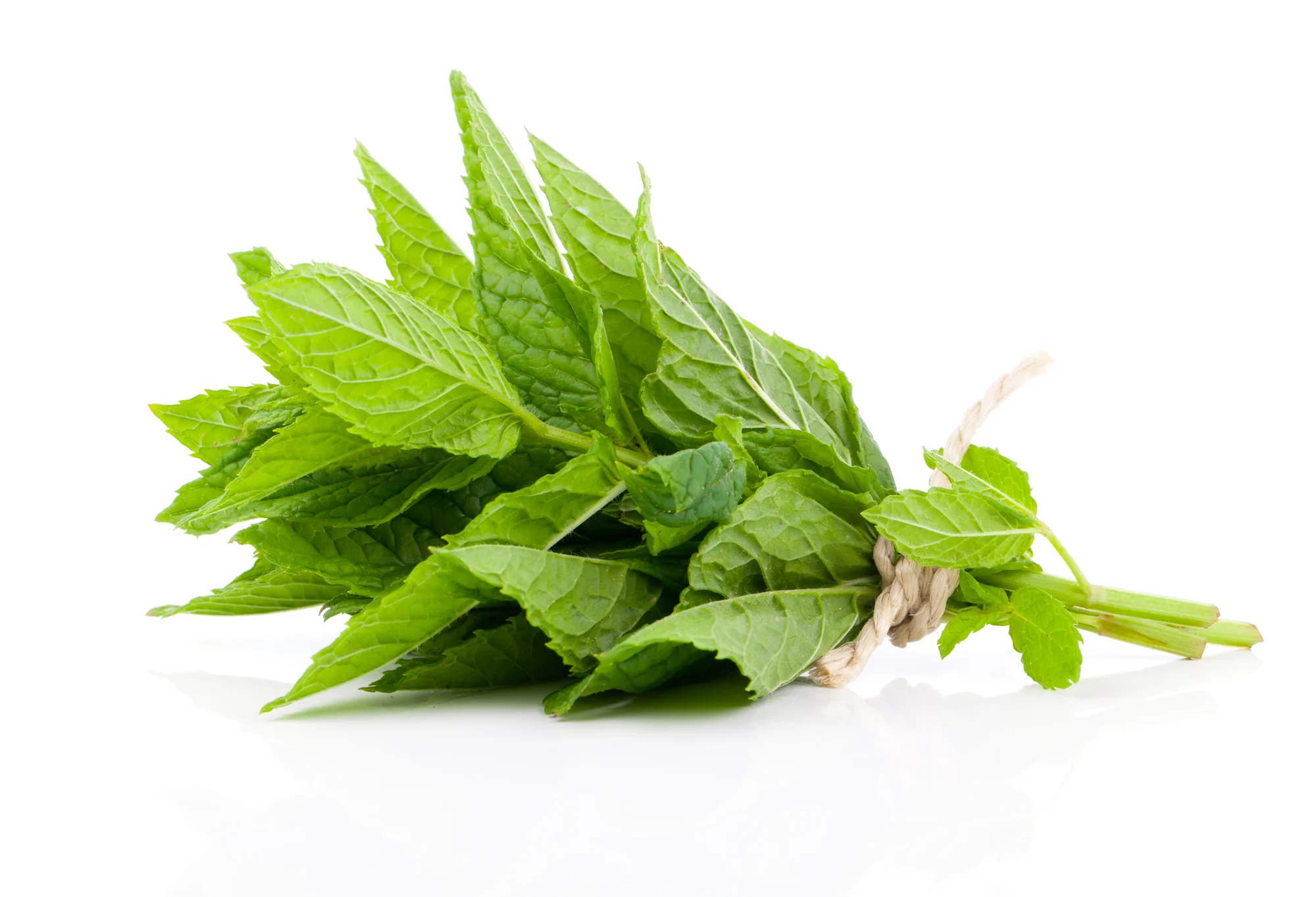 MINT (1 BUNCH)