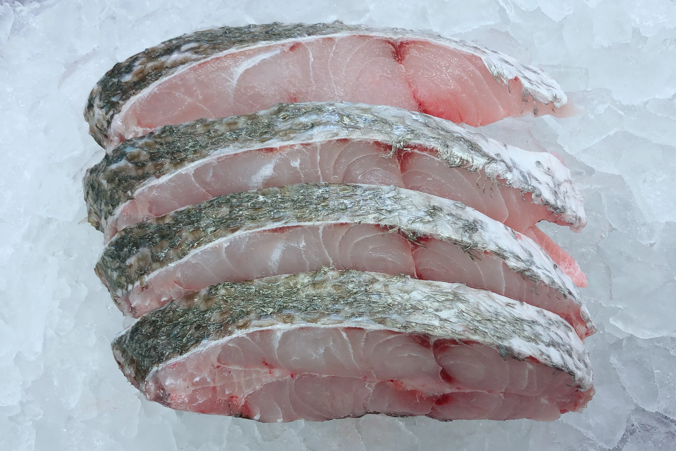 MULLOWAY (JEWFISH) CUTLETS MIN 500G