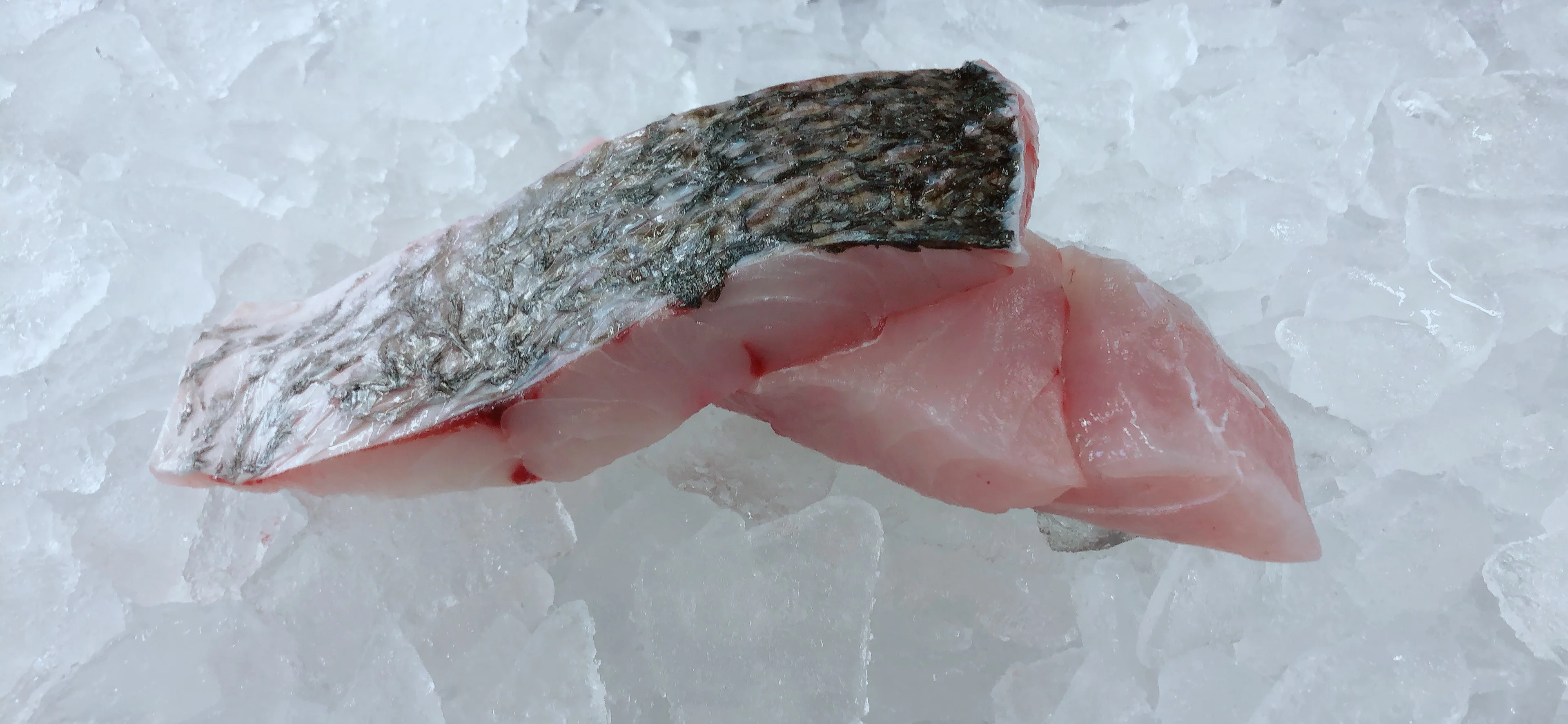 MULLOWAY (JEWFISH) PORTIONS SKIN ON (MIN 500G)