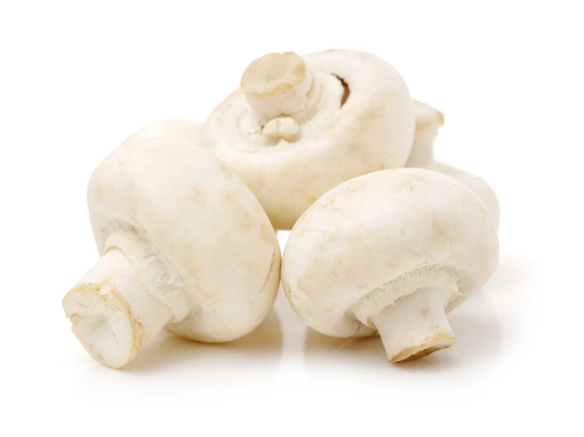 MUSHROOMS BUTTONS (500G)