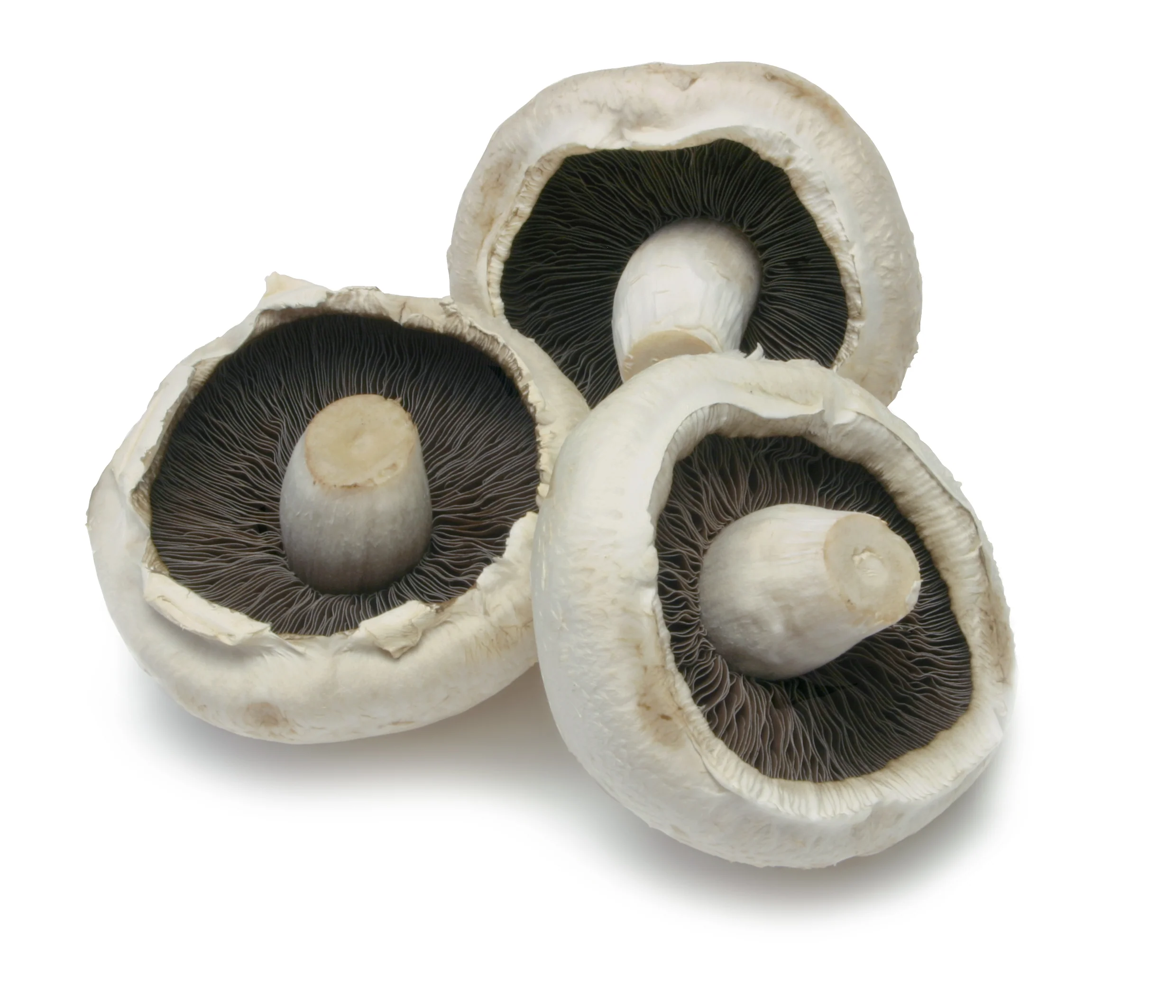 MUSHROOMS FLAT (500G)
