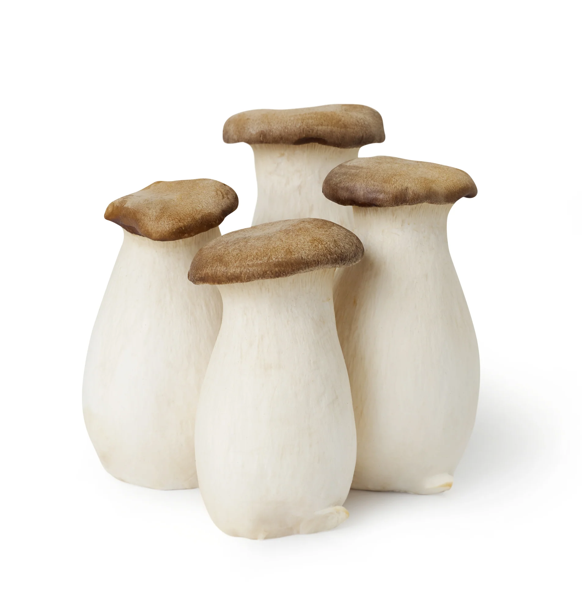 MUSHROOMS KING OYSTER (450G)