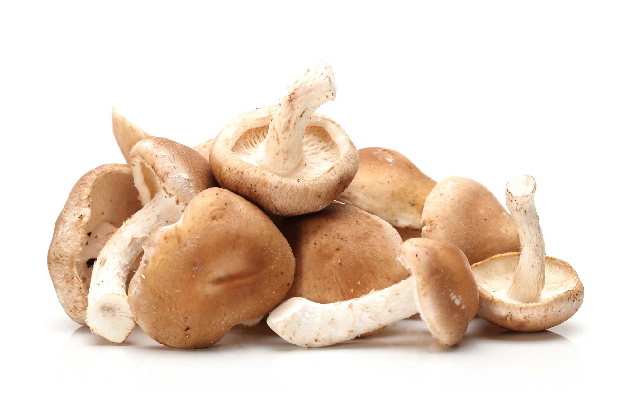 MUSHROOMS SHIITAKE (100G)