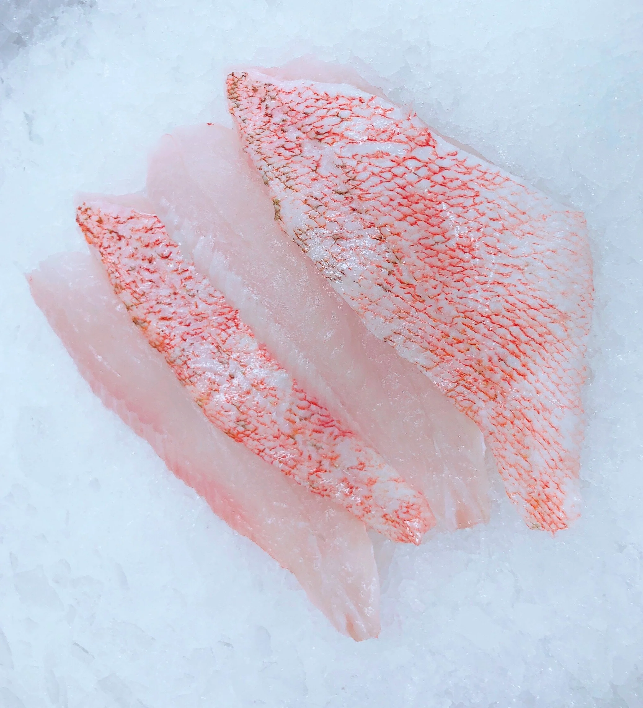 OCEAN PERCH FILLETS (MIN 500G)
