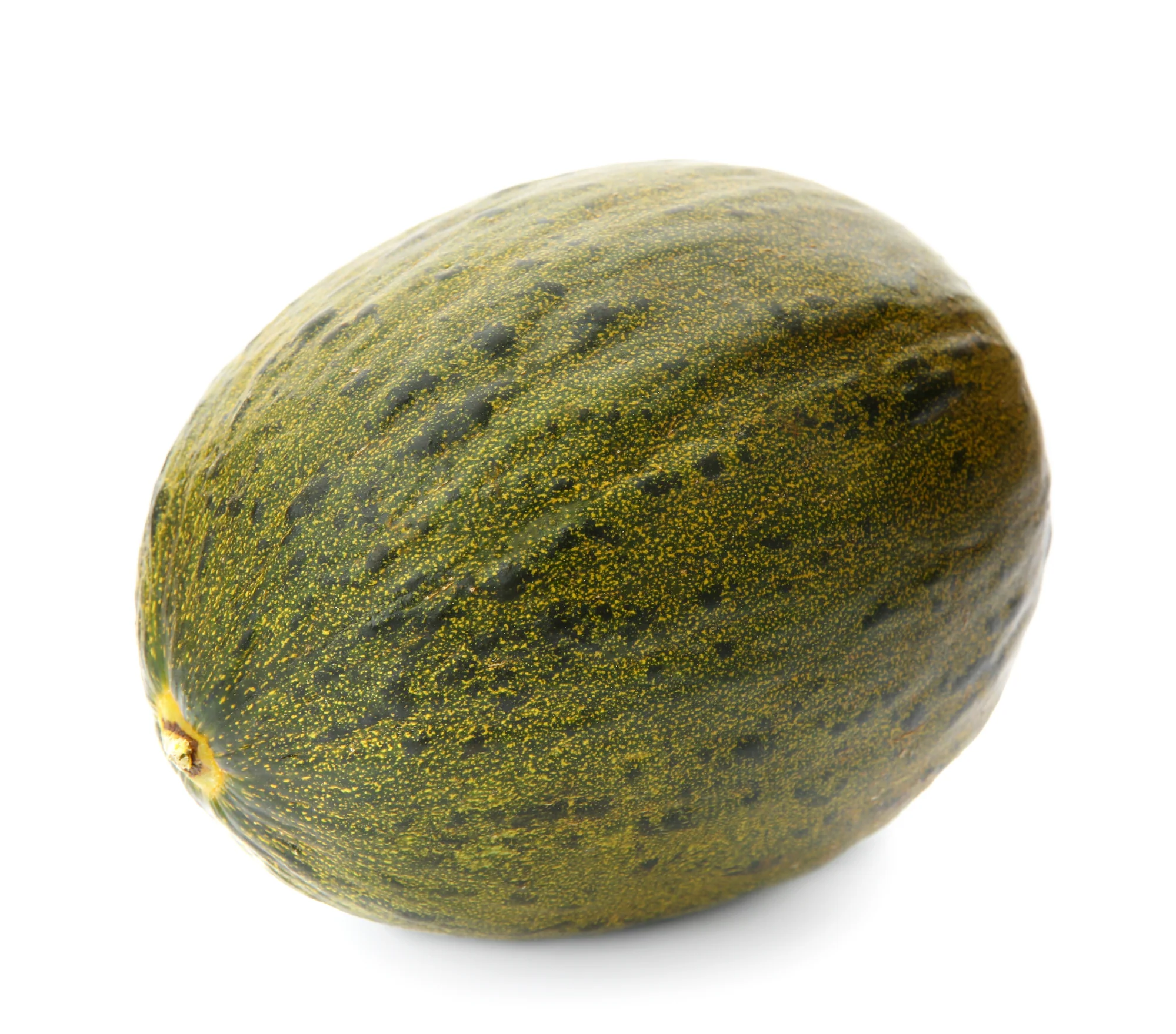 PIEL DE SAPO (1 EACH)
