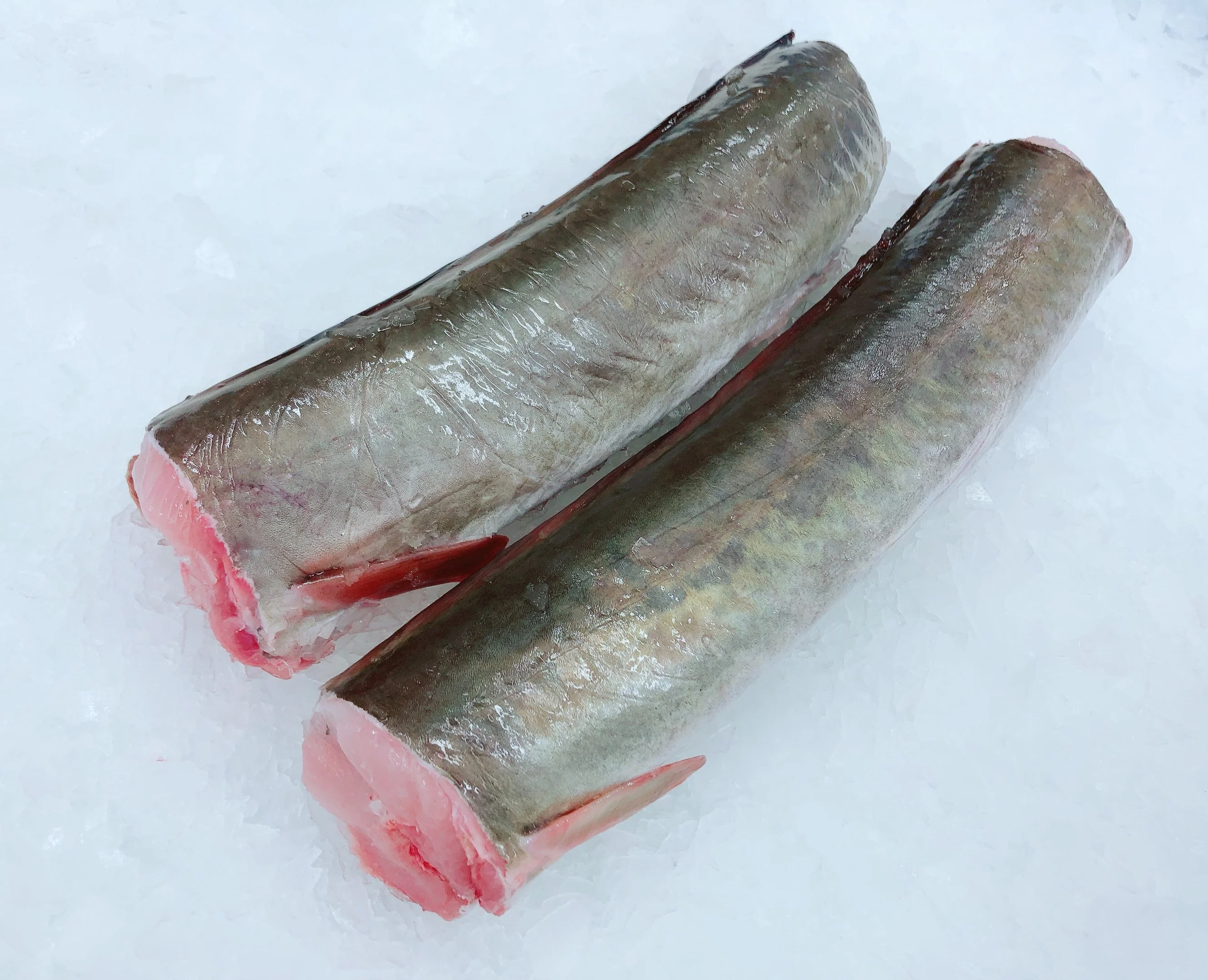 PIKE EELS (MIN 1KG)
