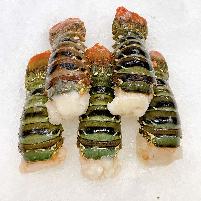 QLD TROPICAL LOBSTER TAILS 300G - 340G (1 EACH)