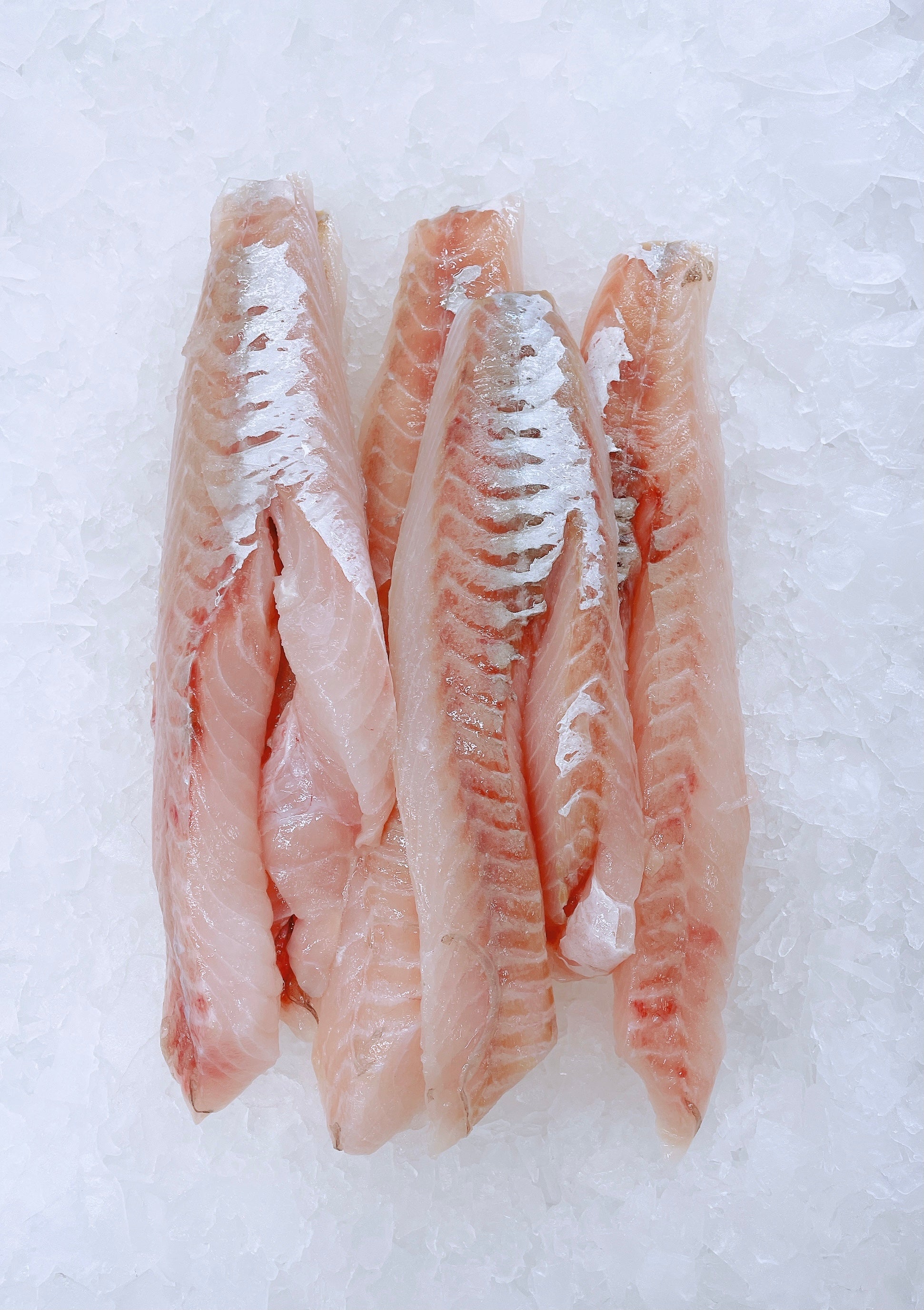 RED GURNARD SKINLESS & BONELESS FILLETS (MIN 500G)