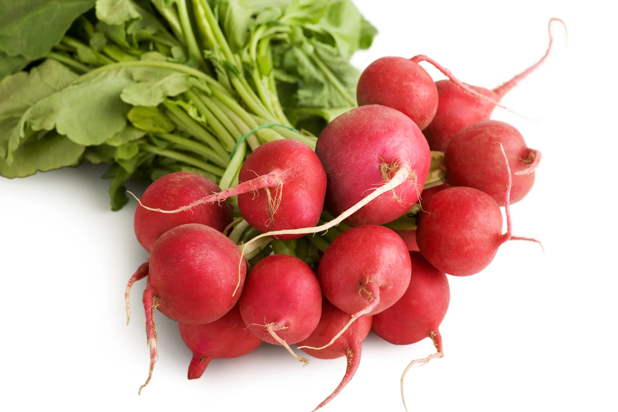 RED RADISH (1 BUNCH)