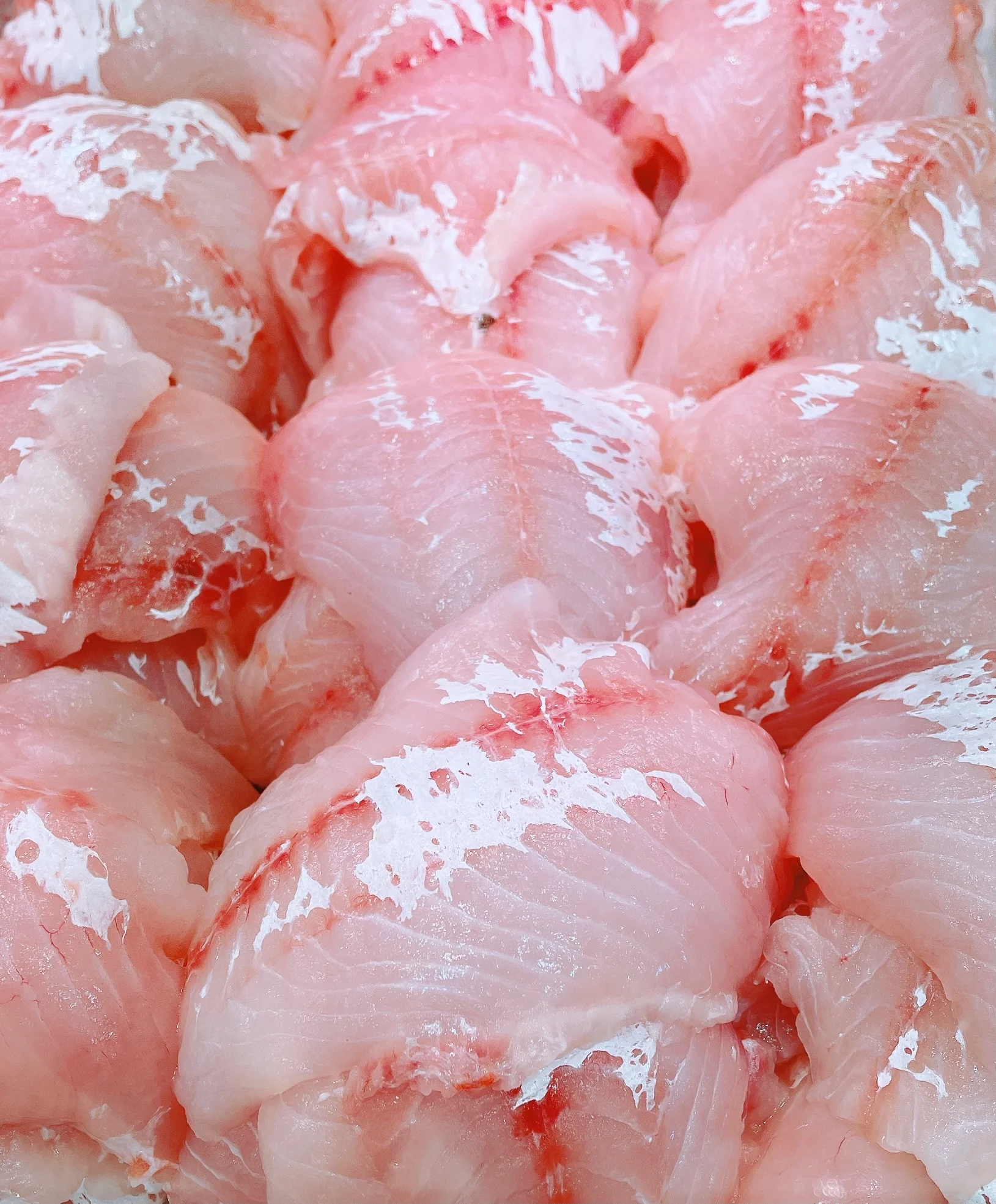 REDFISH FILLETS (MIN 500G)
