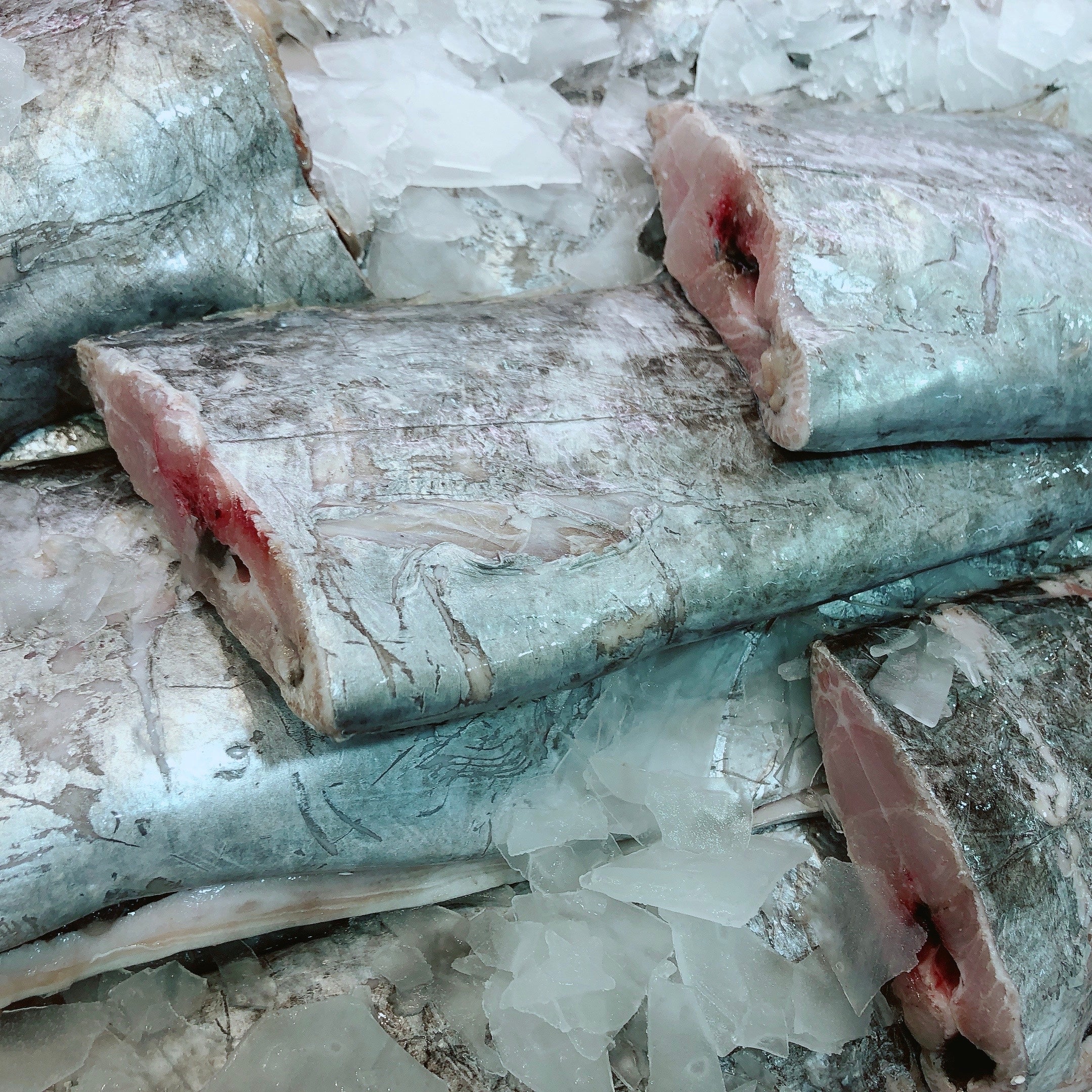 RIBBON FISH (MIN 1KG)