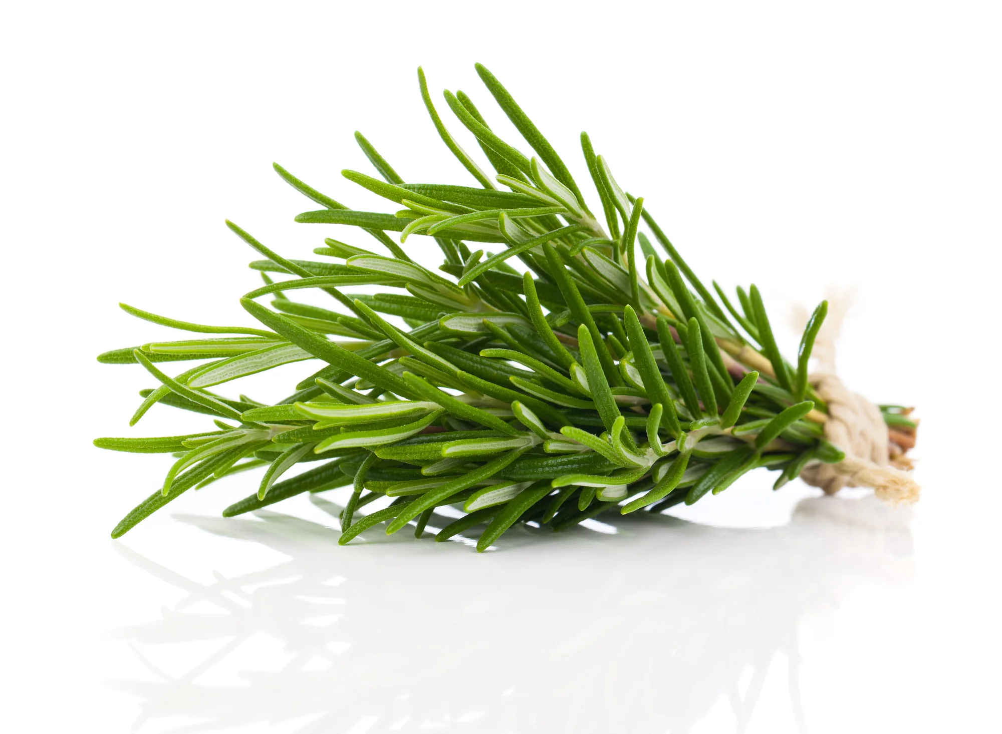ROSEMARY (1 BUNCH)