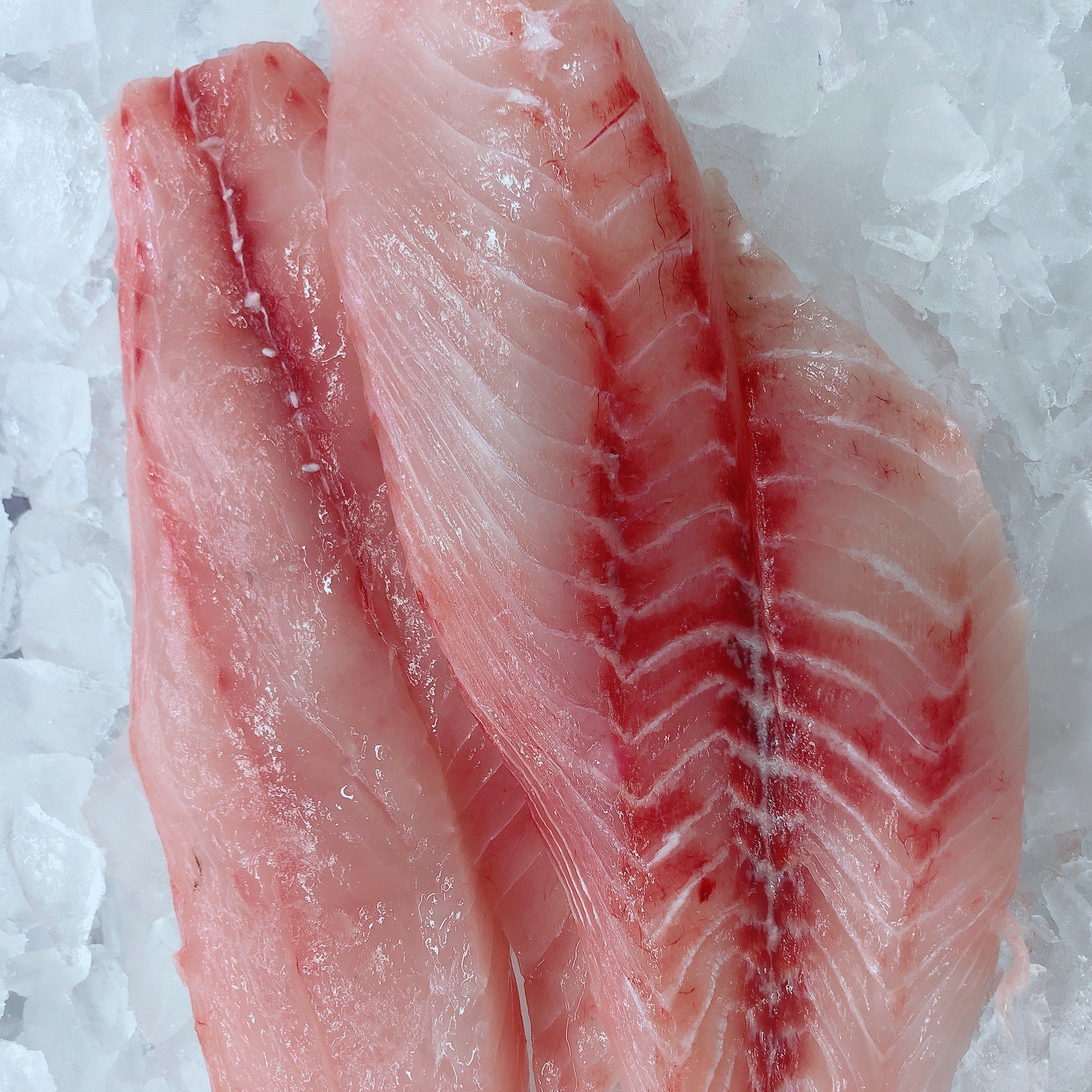SADDLETAIL SNAPPER FILLETS (MIN 500G)