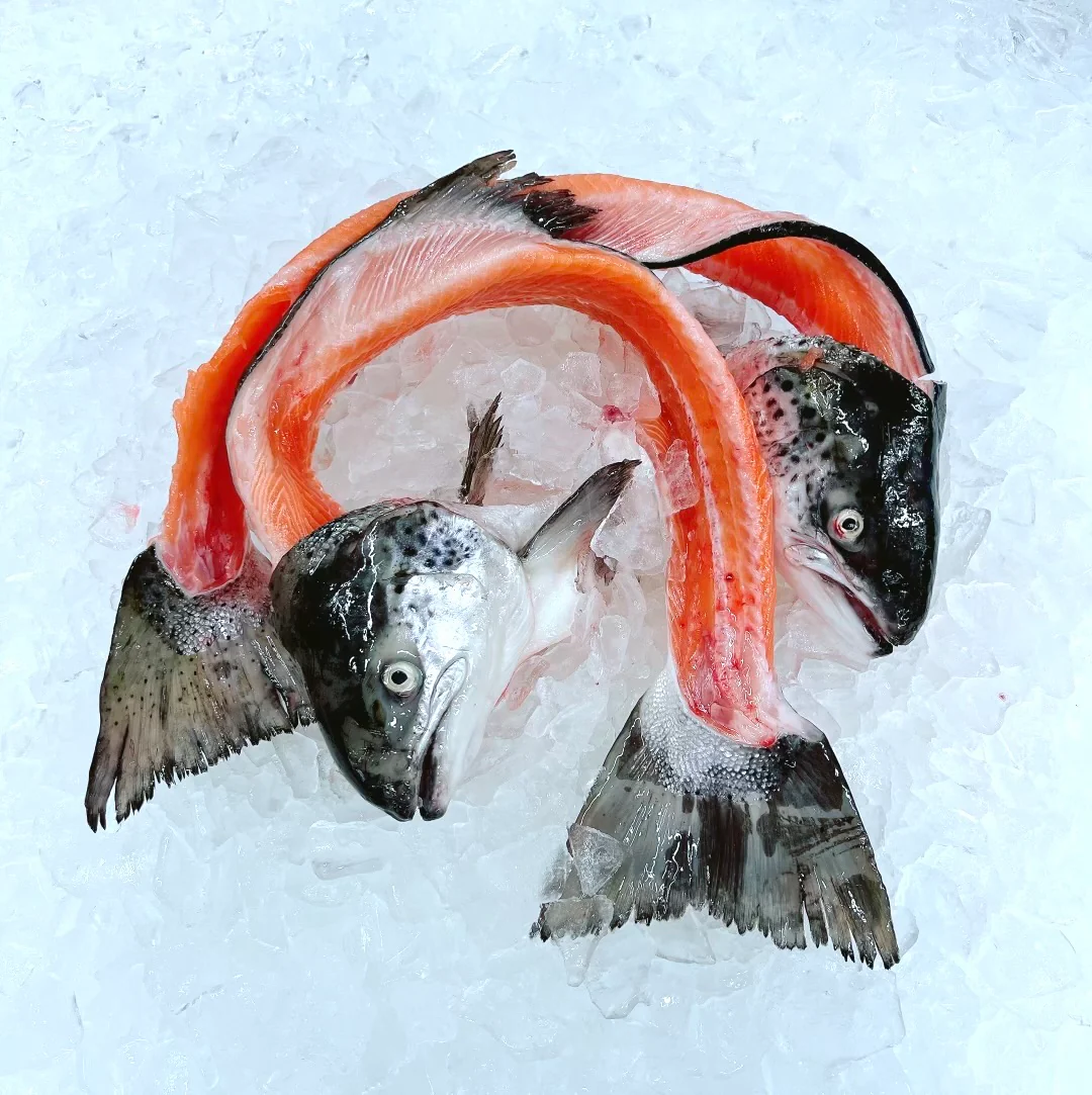 SALMON FRAMES & HEADS (MIN 1KG)