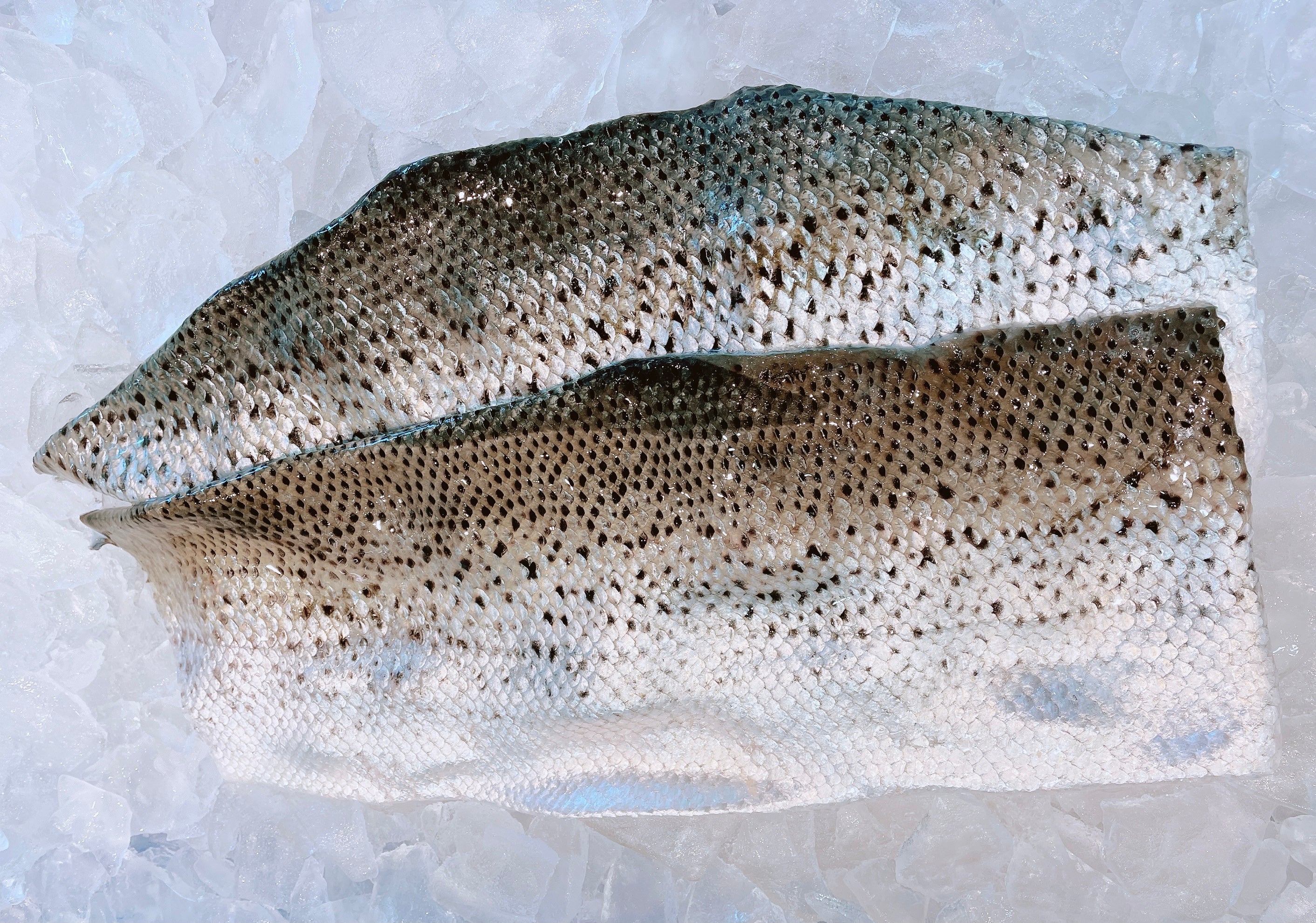 SALMON SKIN (MIN 1KG)