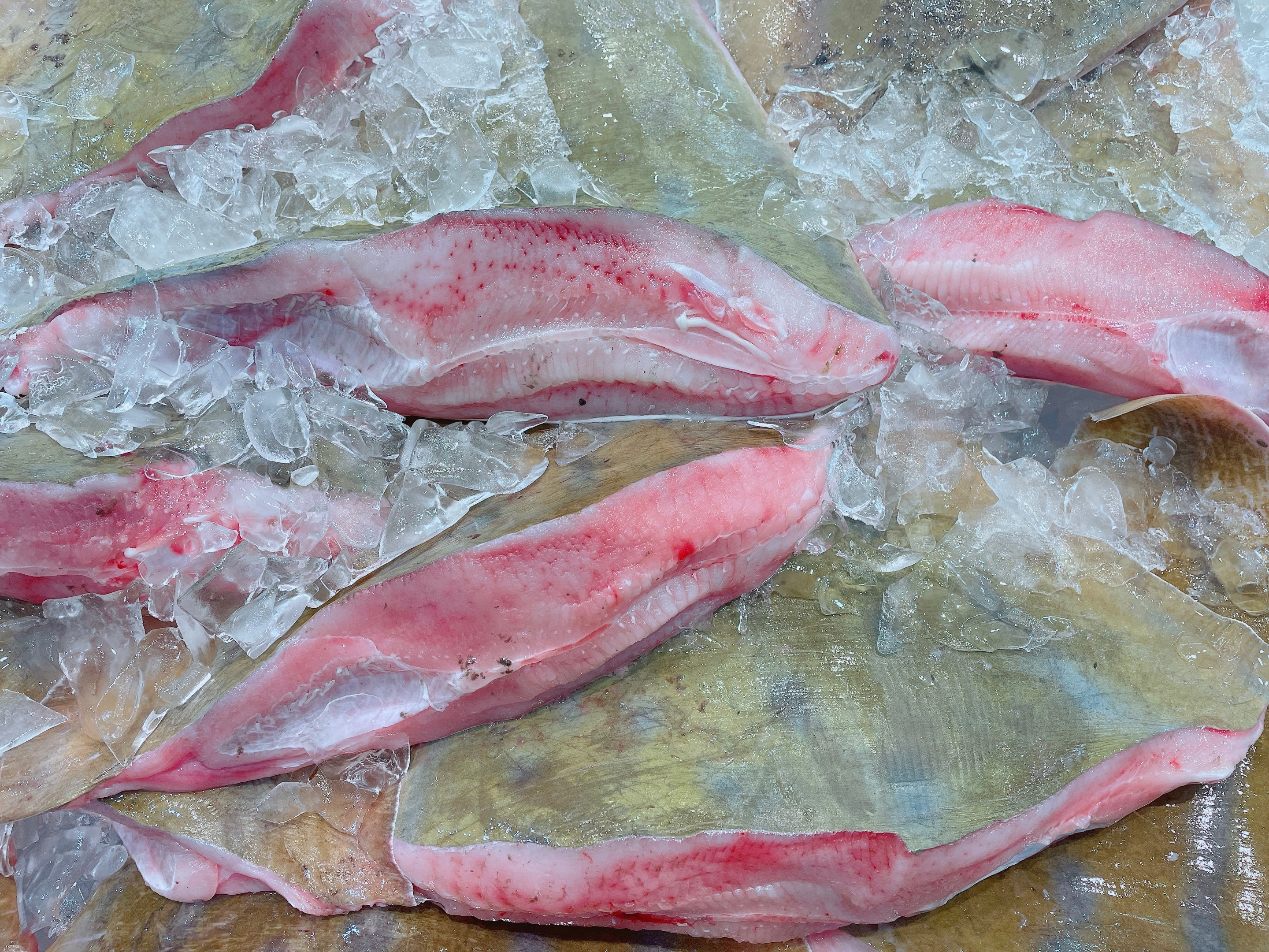 SKATE (EAGLE RAY) MIN 1KG