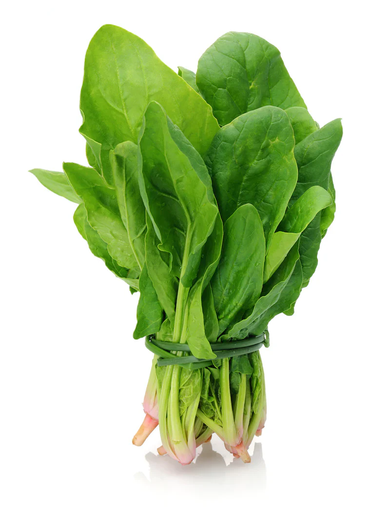 SPINACH ENGLISH (1 BUNCH)