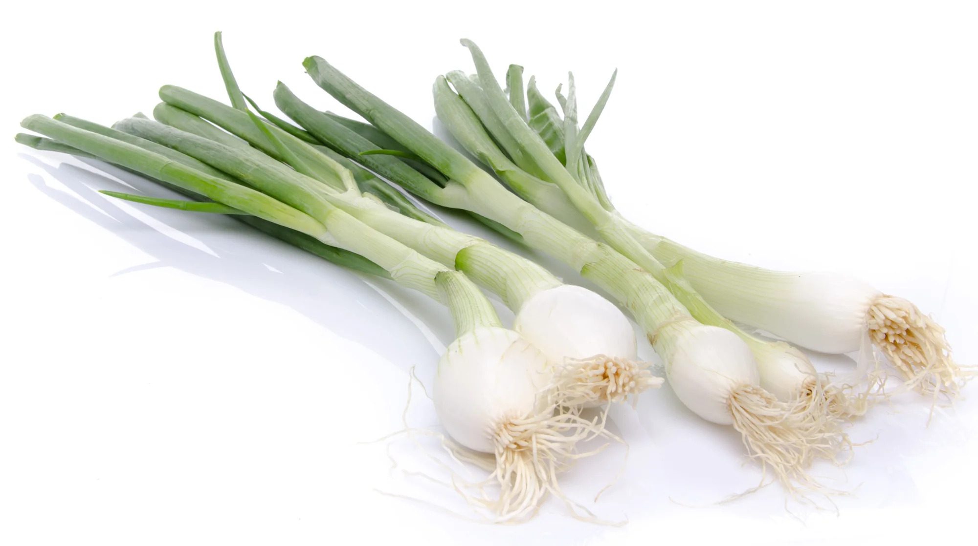SPRING ONIONS (1 BUNCH)