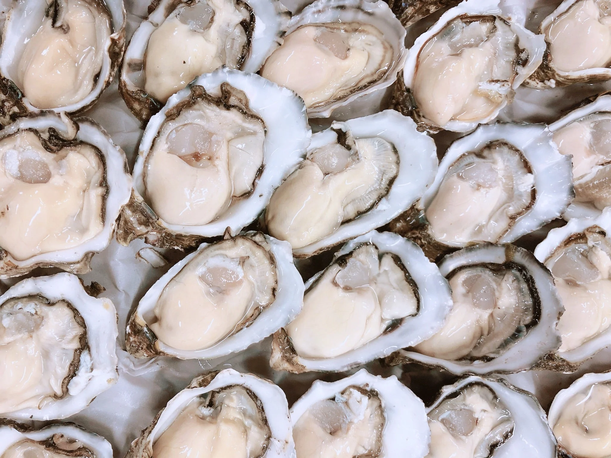 STANDARD PACIFIC OYSTERS (1/2 DOZ) - Image 3