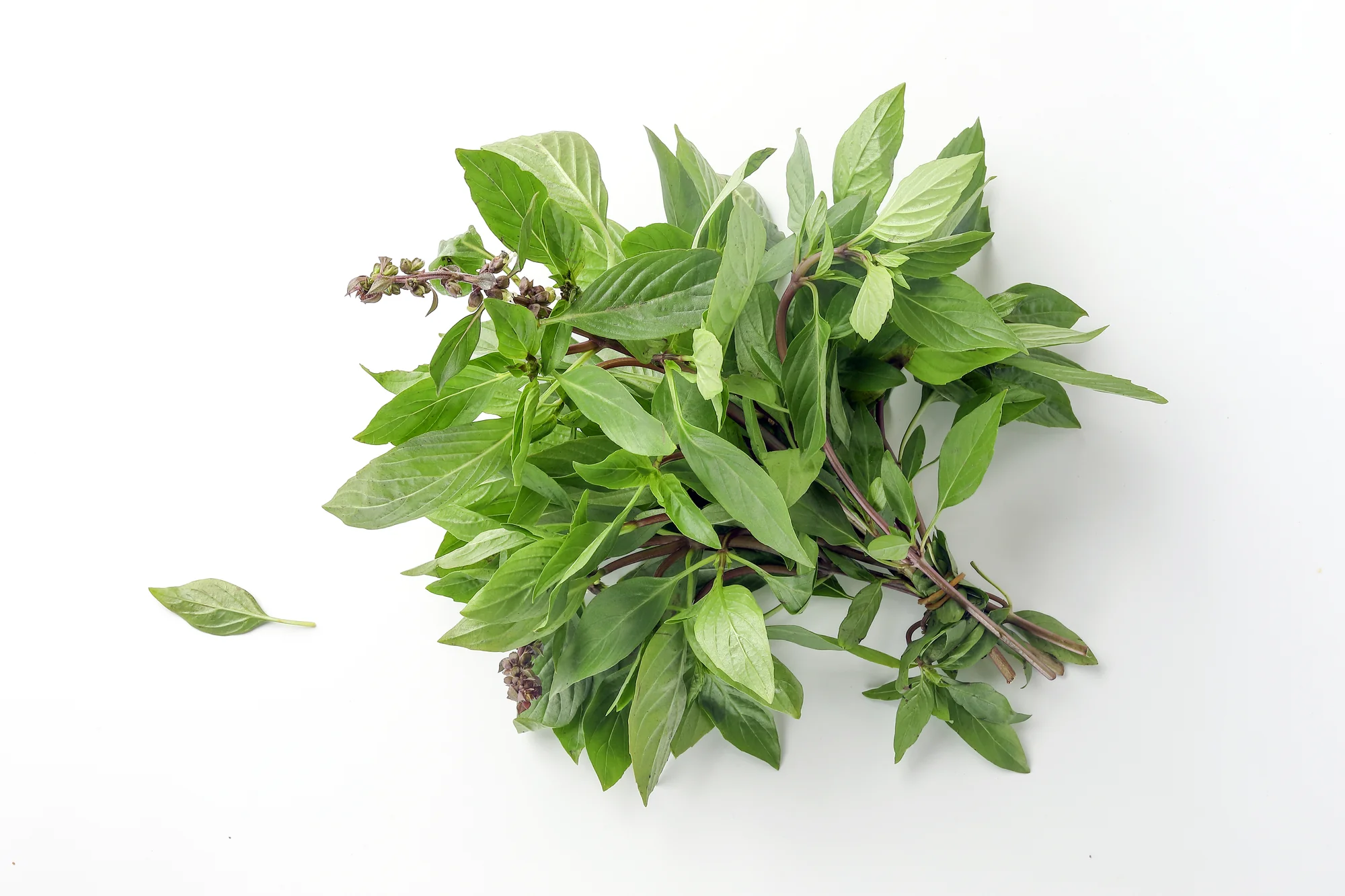 THAI BASIL (1 BUNCH)