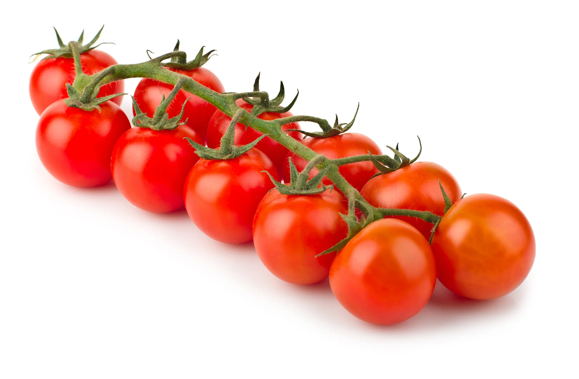 TOMATOES CHERRY TRUSS (1 PACK)