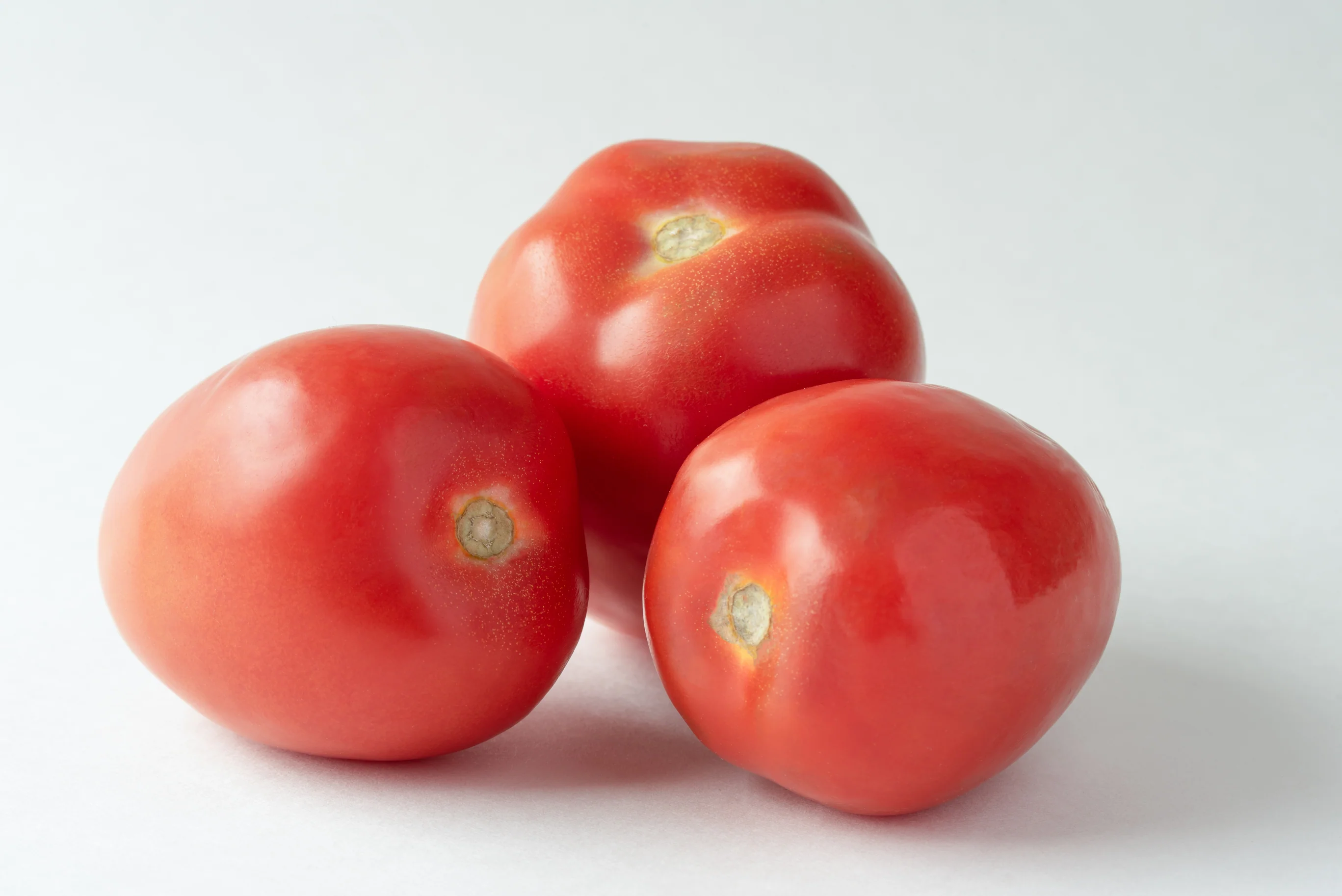 TOMATOES EGG (MIN 1KG)