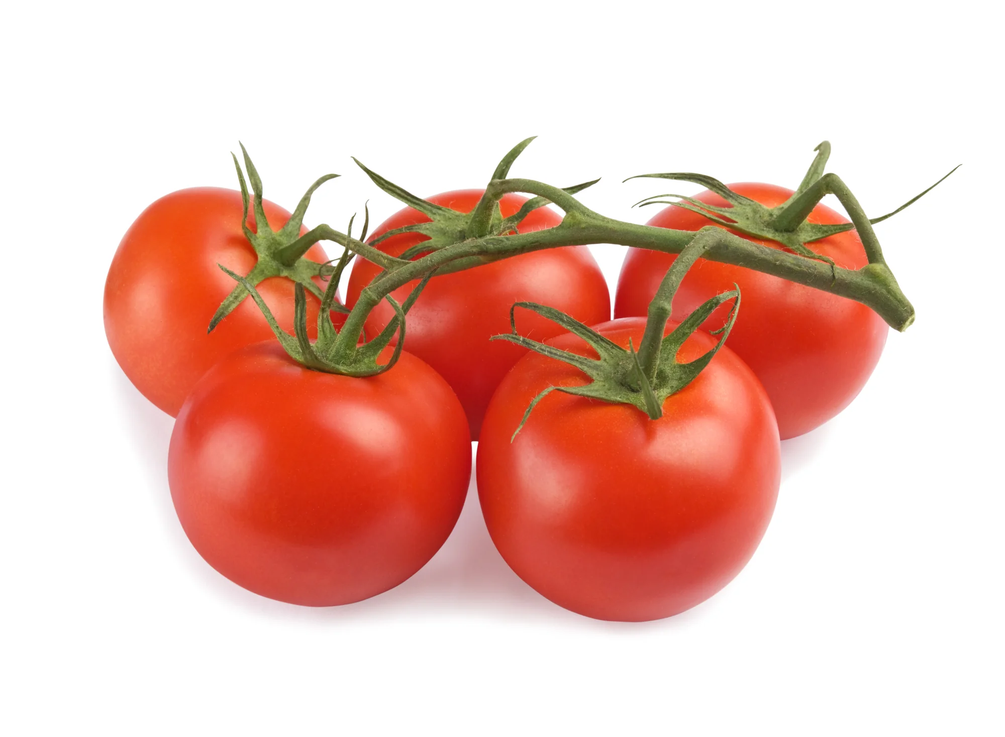 TOMATOES TRUSS (MIN 1KG)