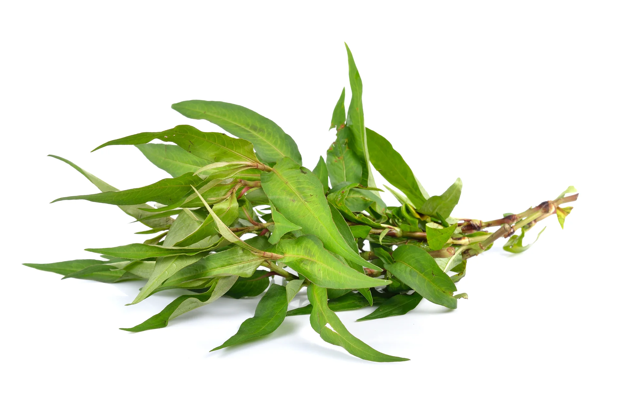 VIETNAMESE MINT (1 BUNCH)