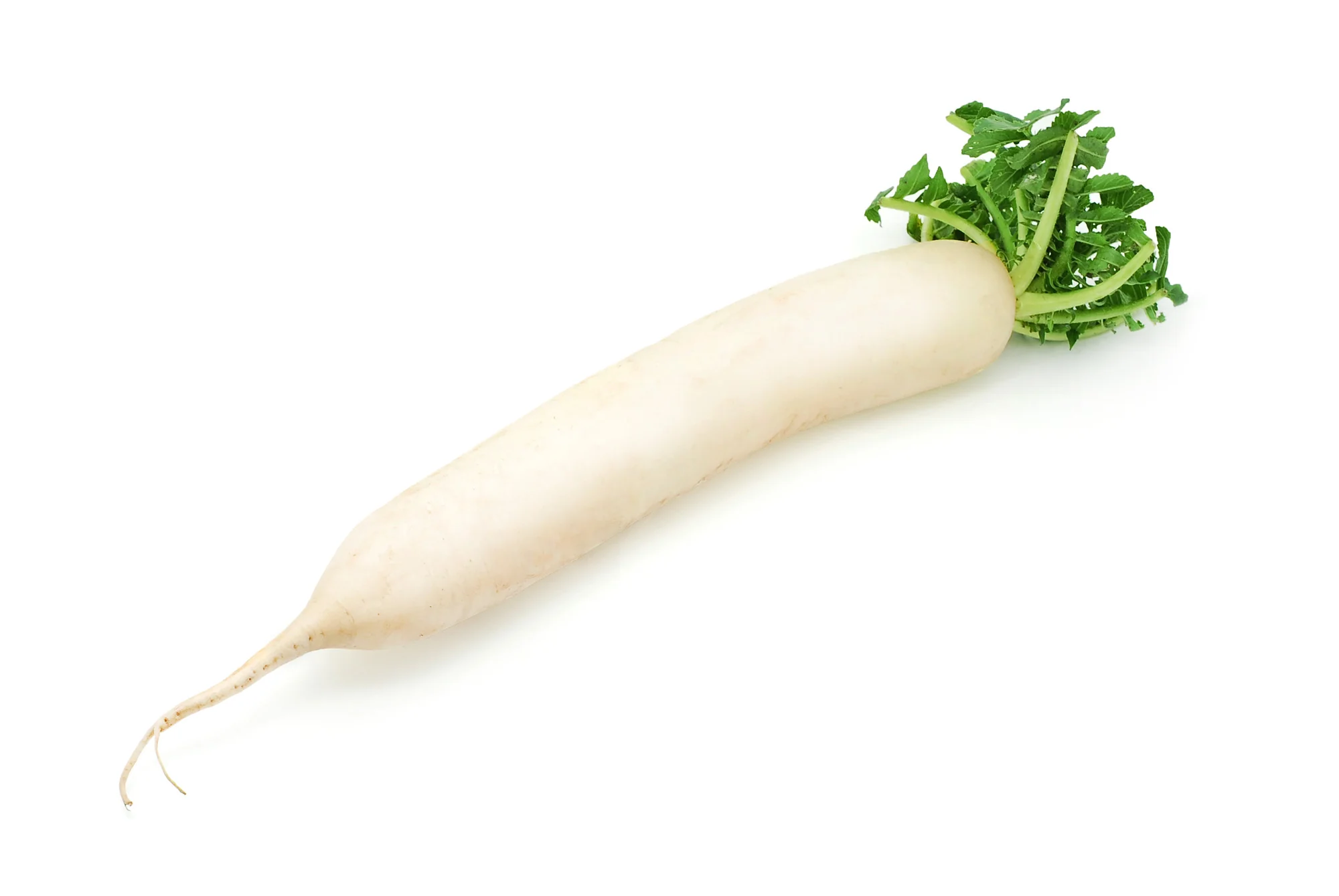 WHITE RADISH LARGE (1 EACH)
