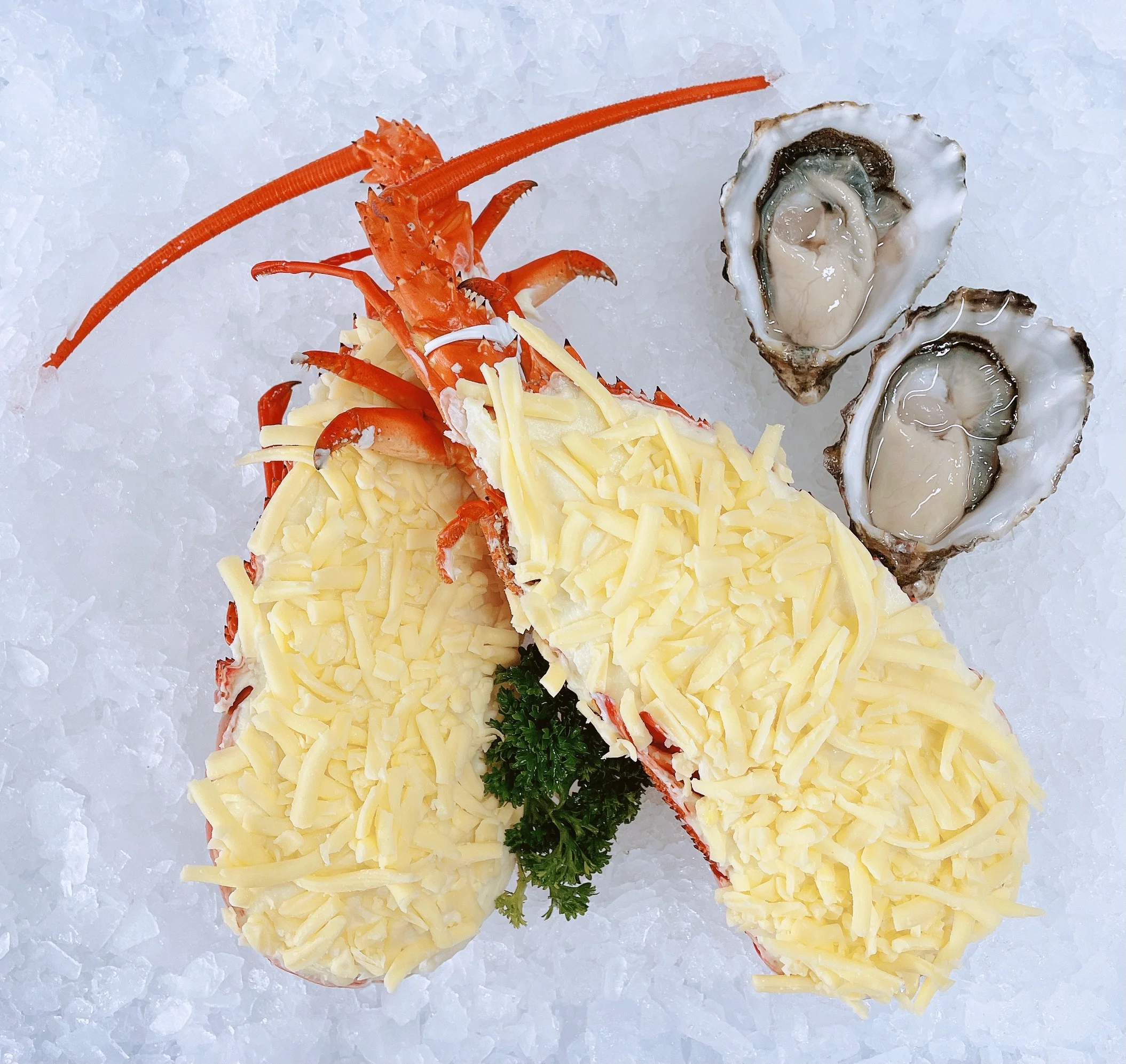 WHOLE EASTERN ROCK LOBSTER MORNAY 800G - 1KG